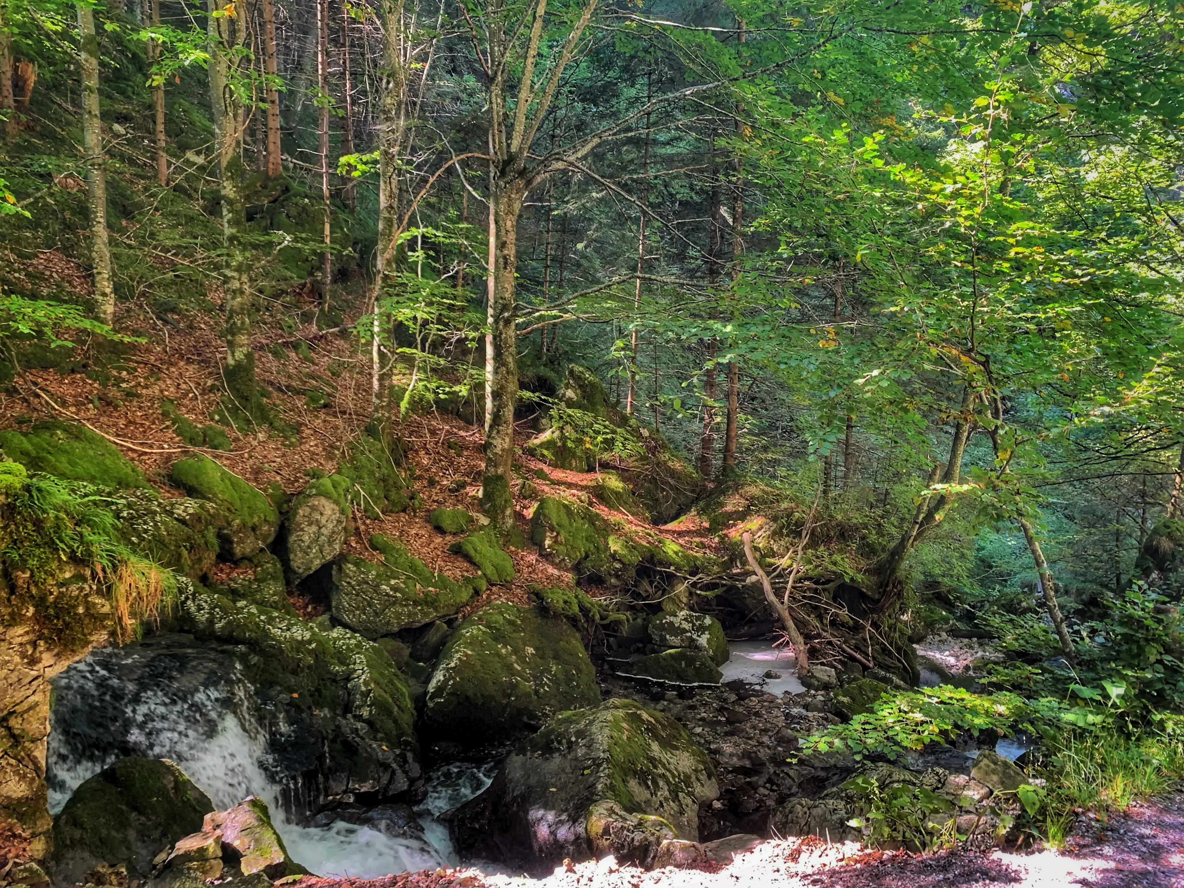 Nach dem ersten steilen Aufstieg der Wanderung, kommt ein erfrischender Bachlauf im Wald genau richtig.
