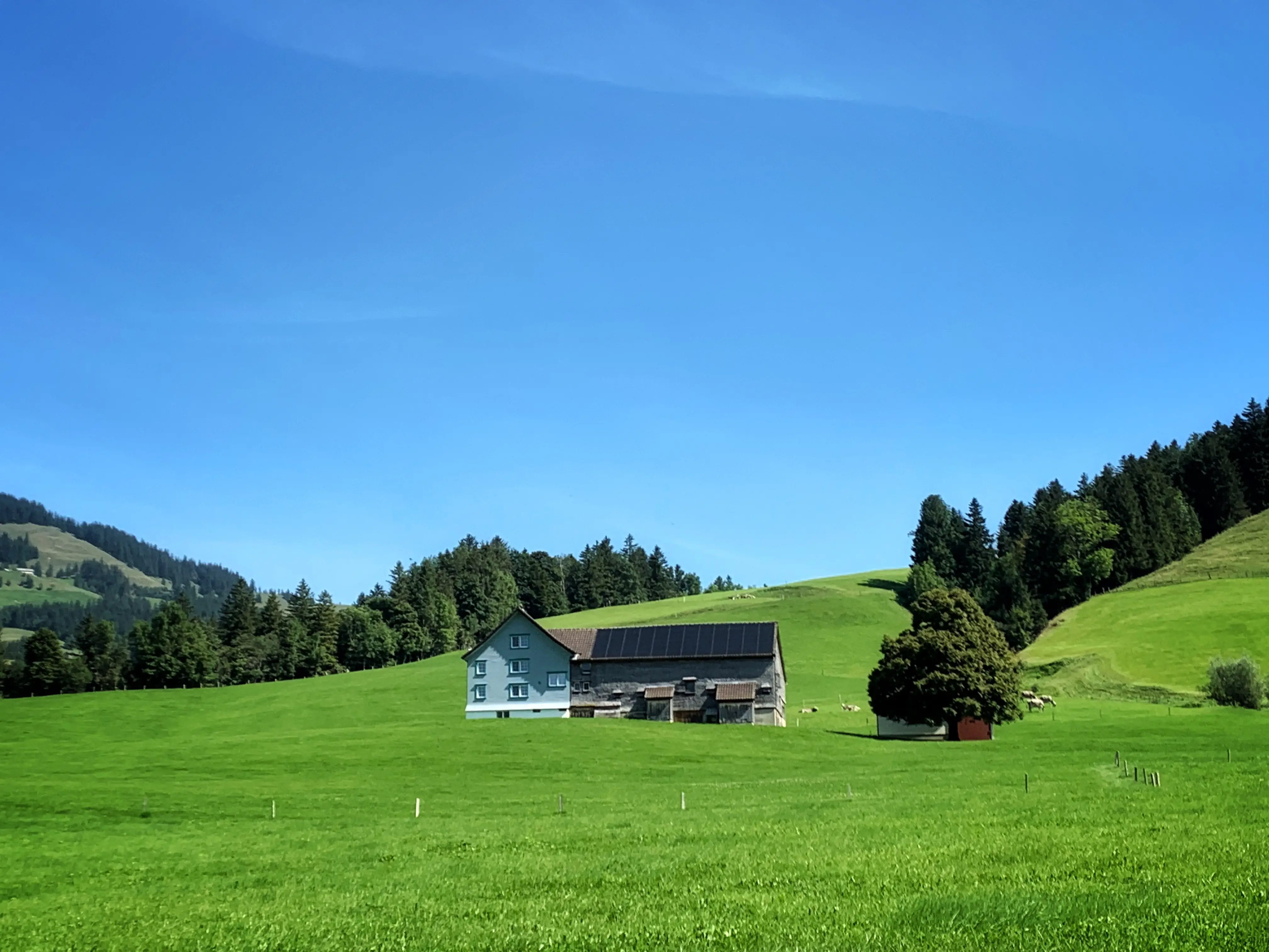 Die malerische Landschaft im Appenzell kann man schon auf den ersten Metern der Wanderung bewundern.