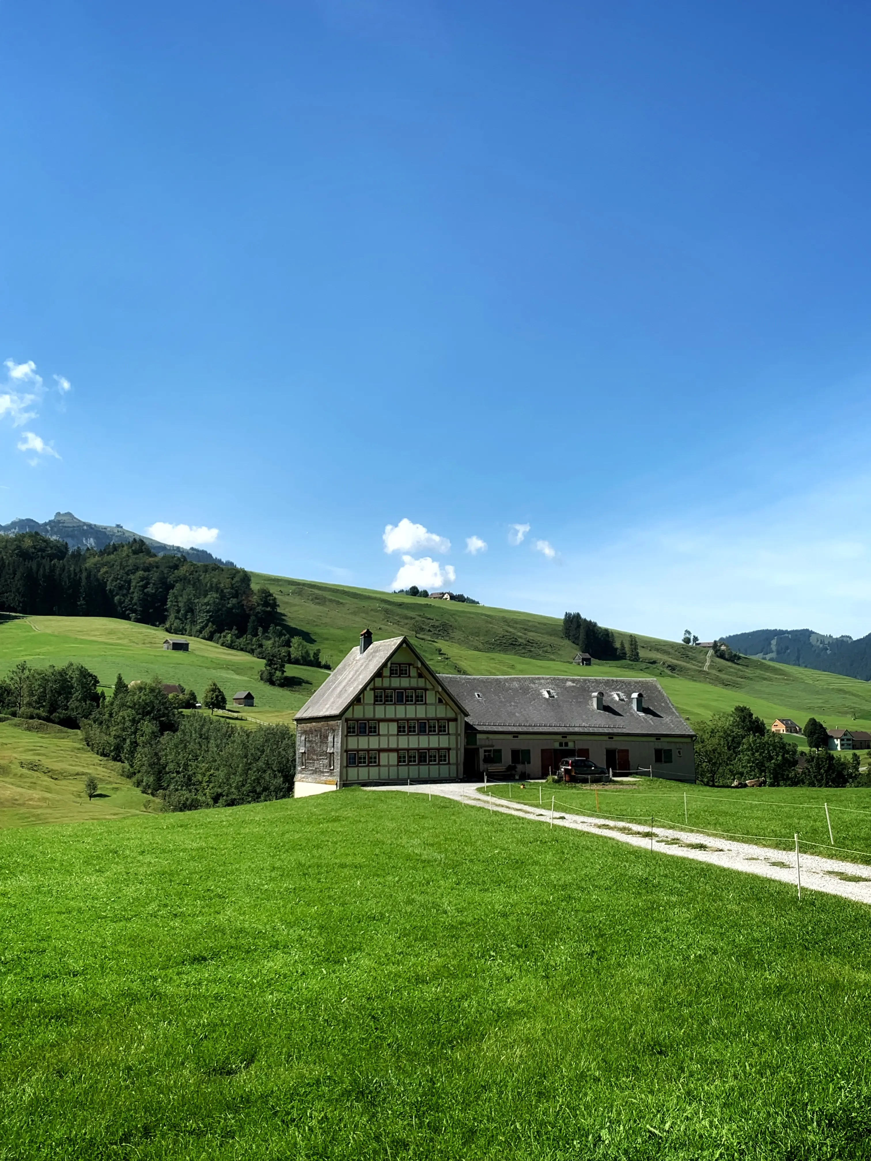 Vor allem bei Sonnenschein leuchten die Wiesen im Appenzell in satten grün.