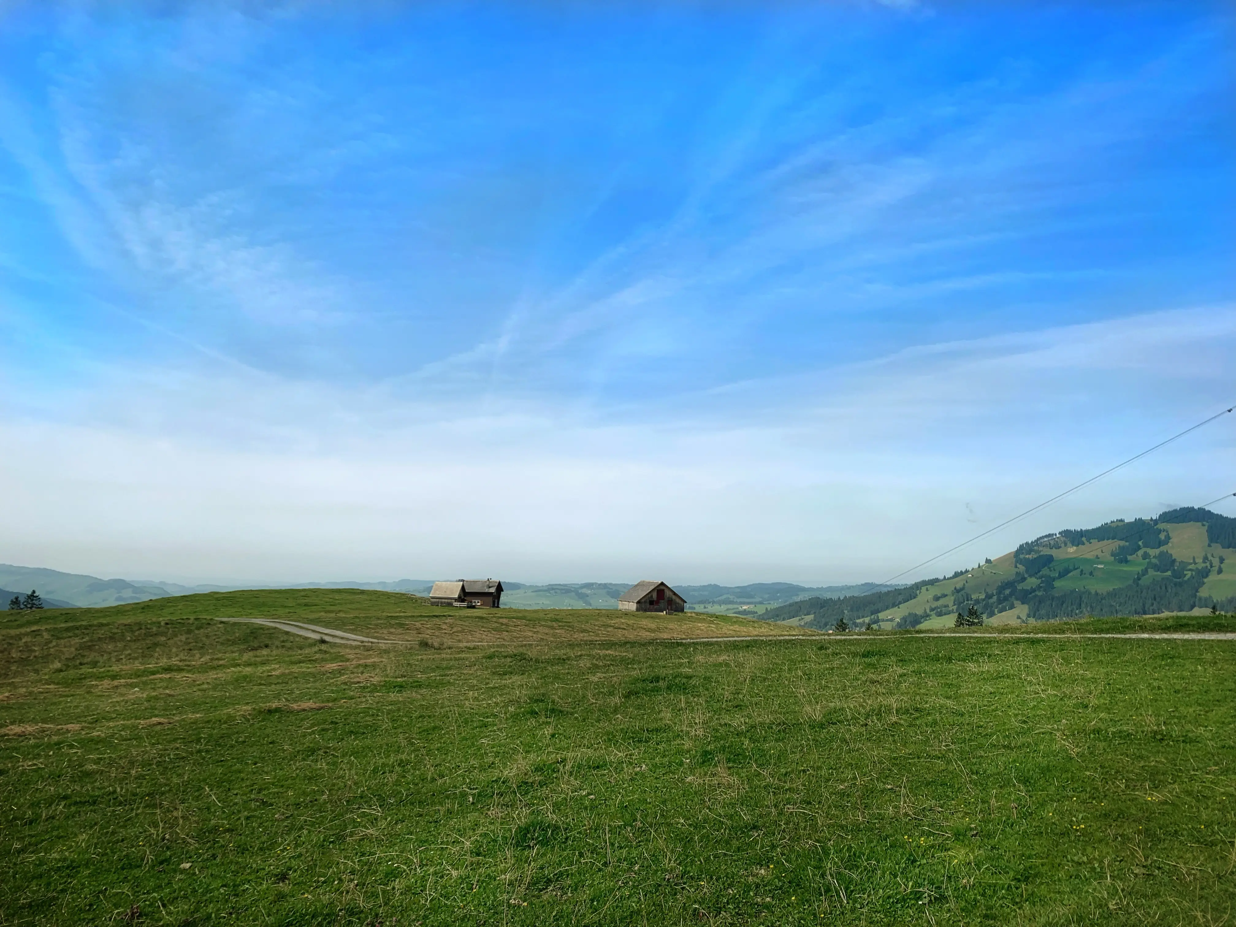 Der freie Blick in die wunderschöne Natur des Appenzells macht die Wanderroute der Localsbodensee aus.
