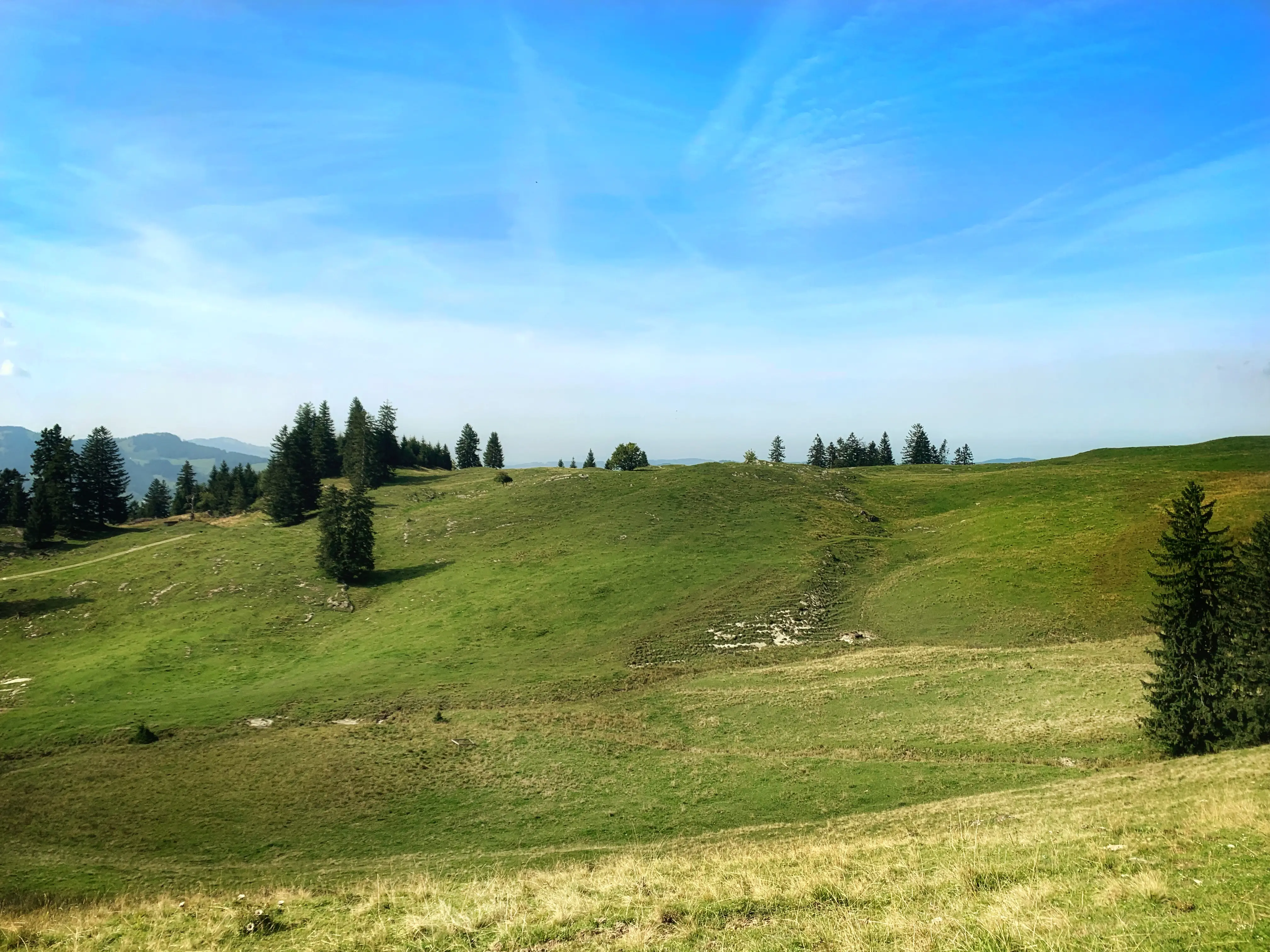 Die Localsbodensee wandern nahe Brülisau durch das wunderschöne Appenzell.