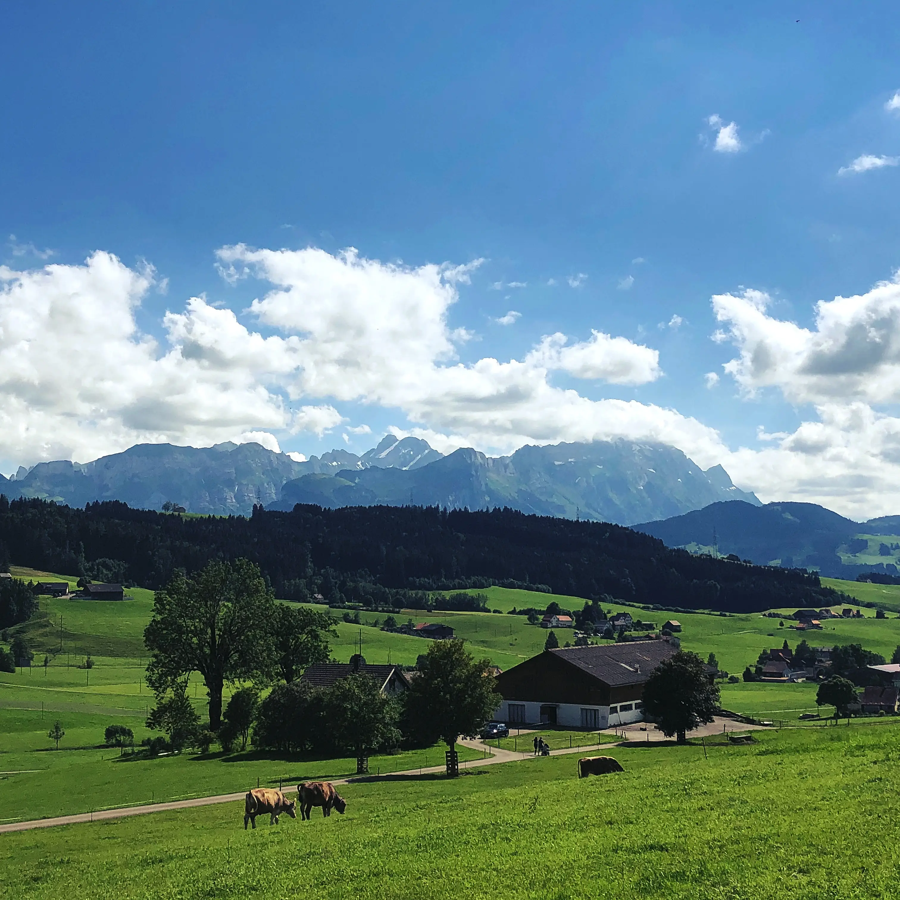 Wanderweg in Gais