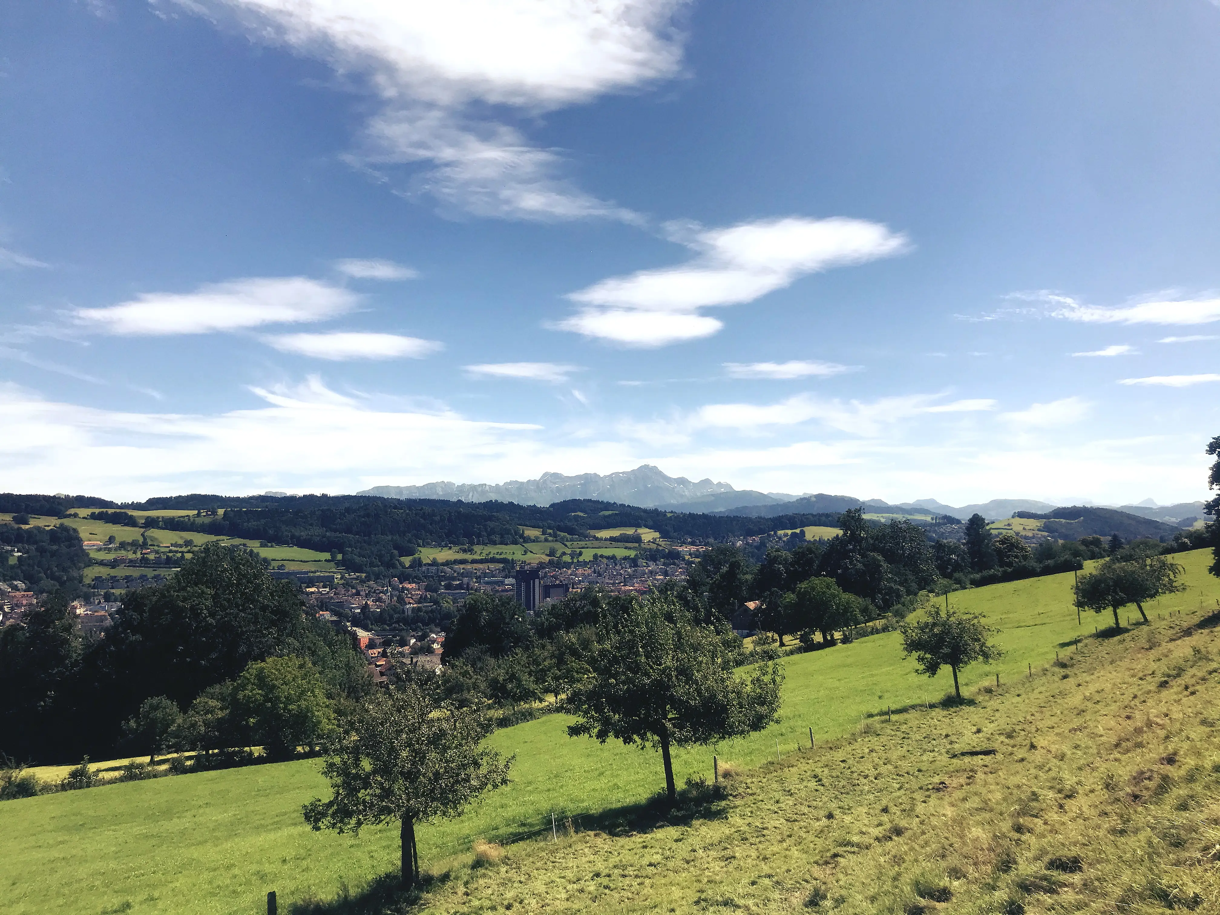 Bei klarer Sicht ist der Blick in die Ferne vom Tierpark Peter und Paul wirklich wunderschön.