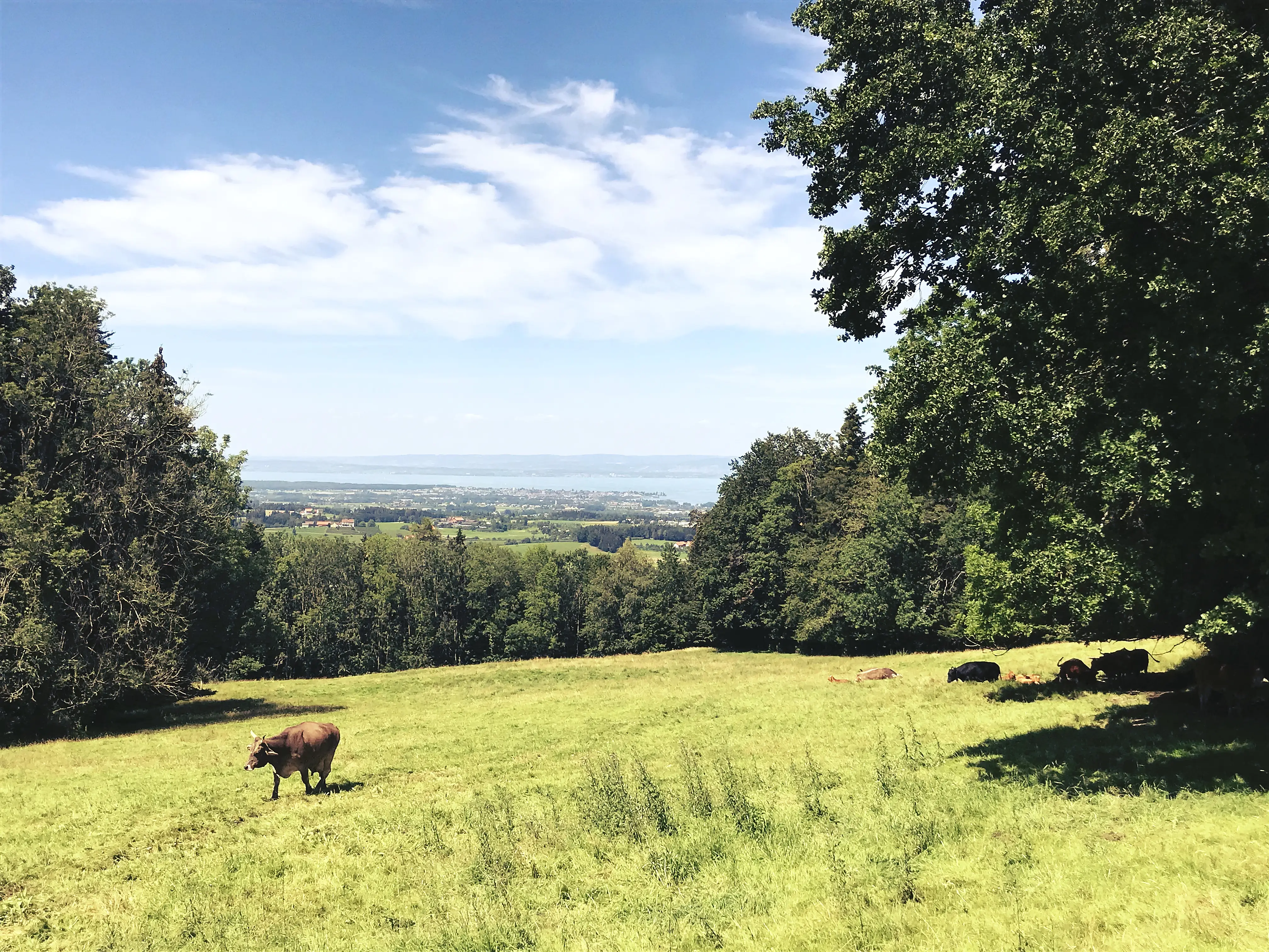 Die Aussicht vom Tierpark Peter und Paul auf die Landschaft und Schweizer Berge ist wunderschön.