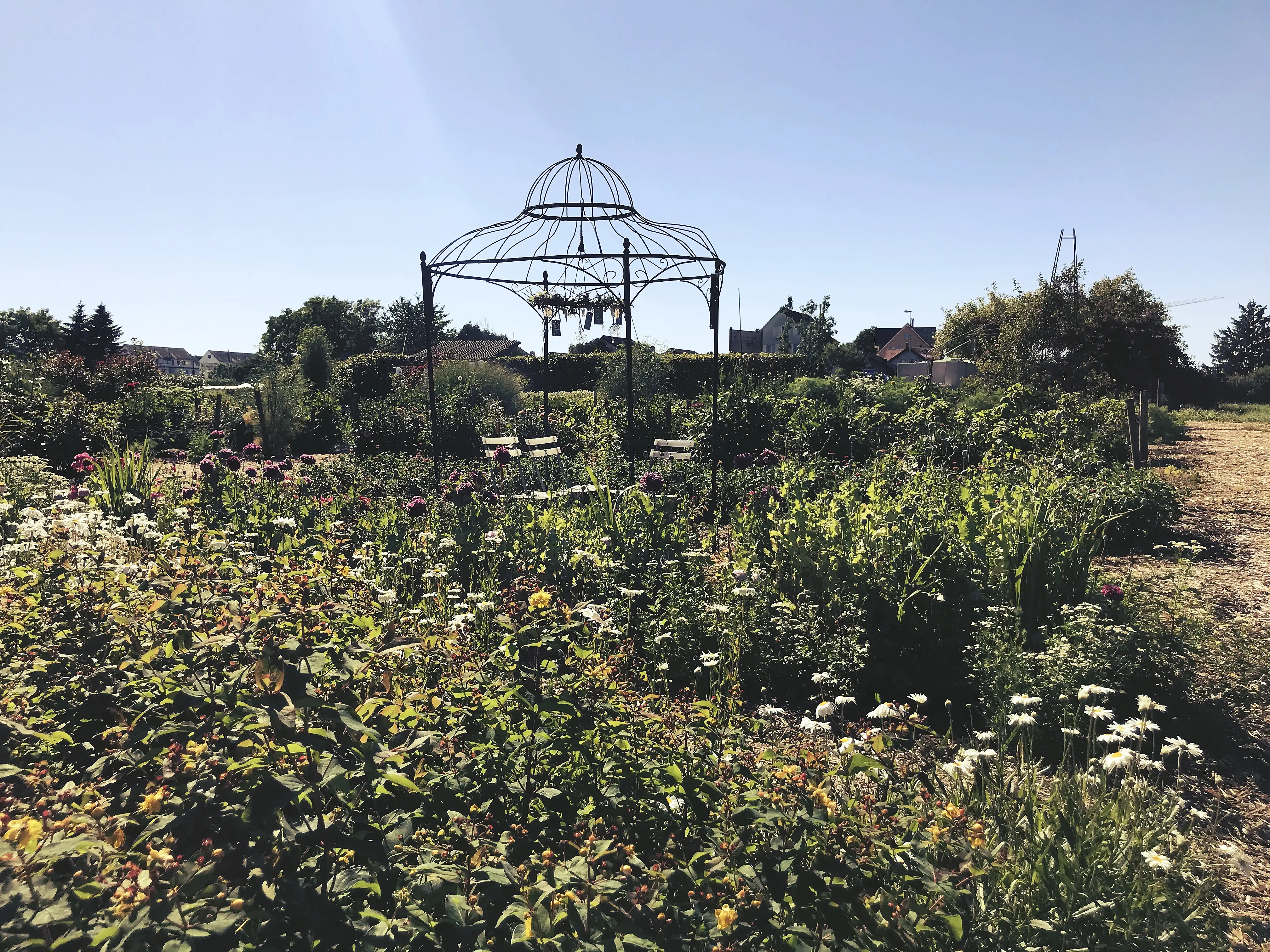 Ein schön angelegter Garten ist Teil des Tierparks Peter und Paul.