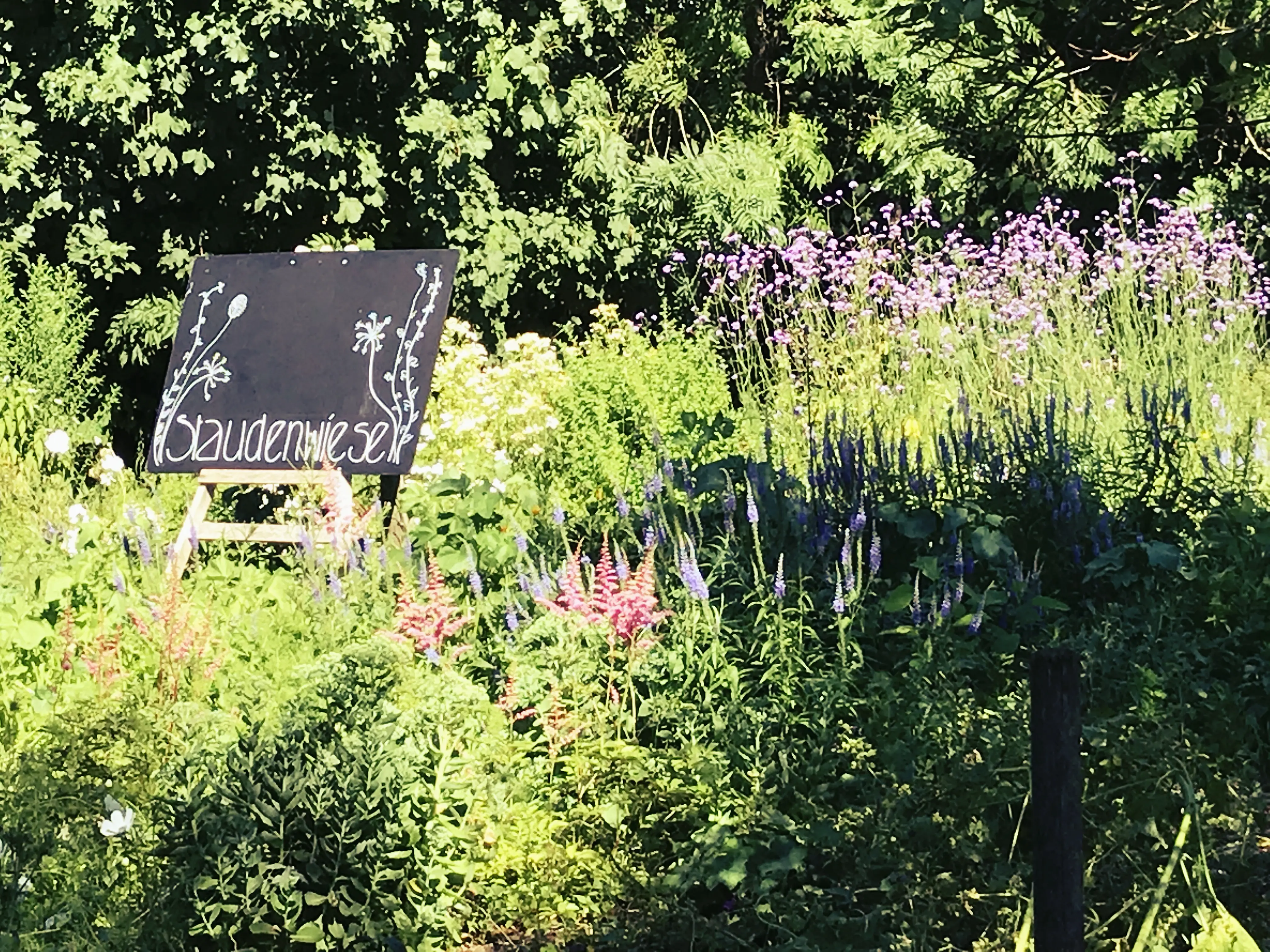 Staudenwiesen tragen im Tierpark Peter und Paul zur Biodiversität und Artenvielfalt bei.