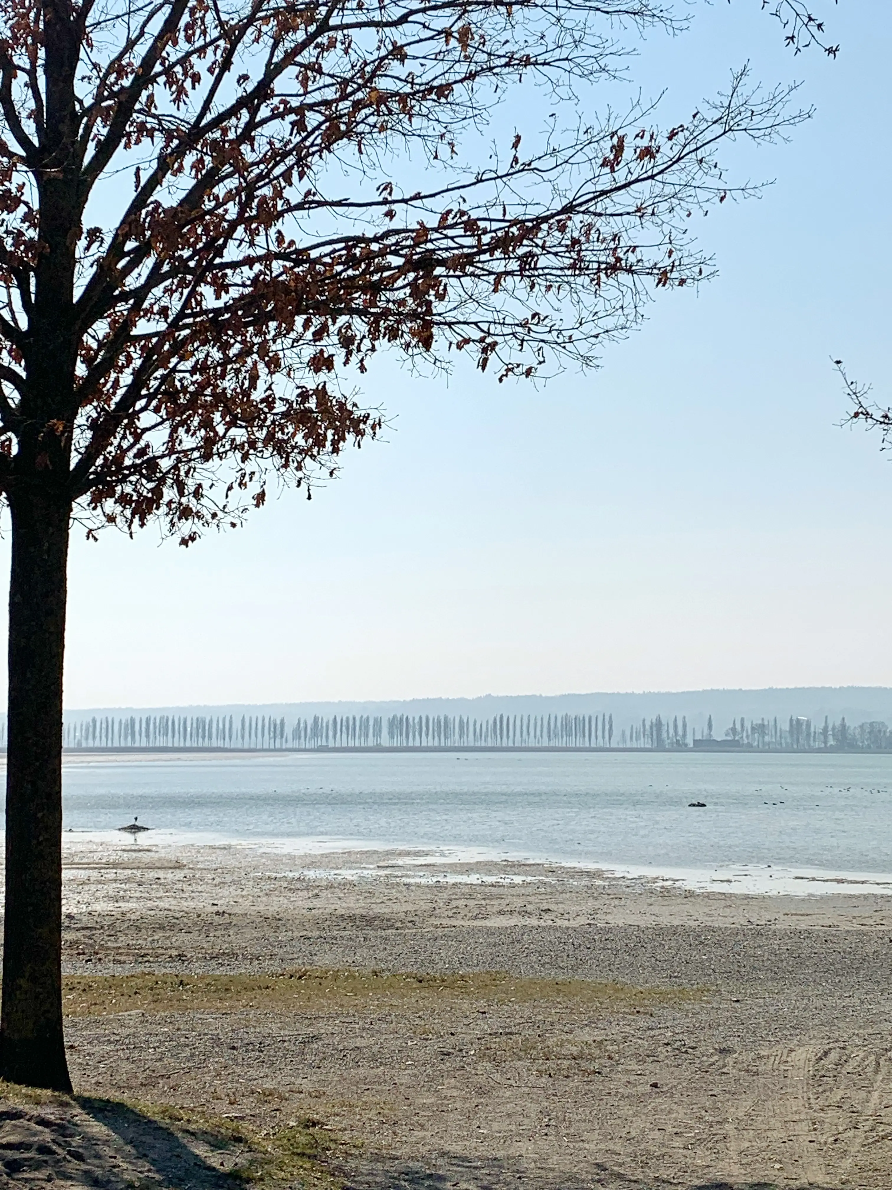 Camping am Bodensee ist eine tolle Art des Urlaubs und wird von den Reisebloggern localsbodensee ausführlich getestet.
