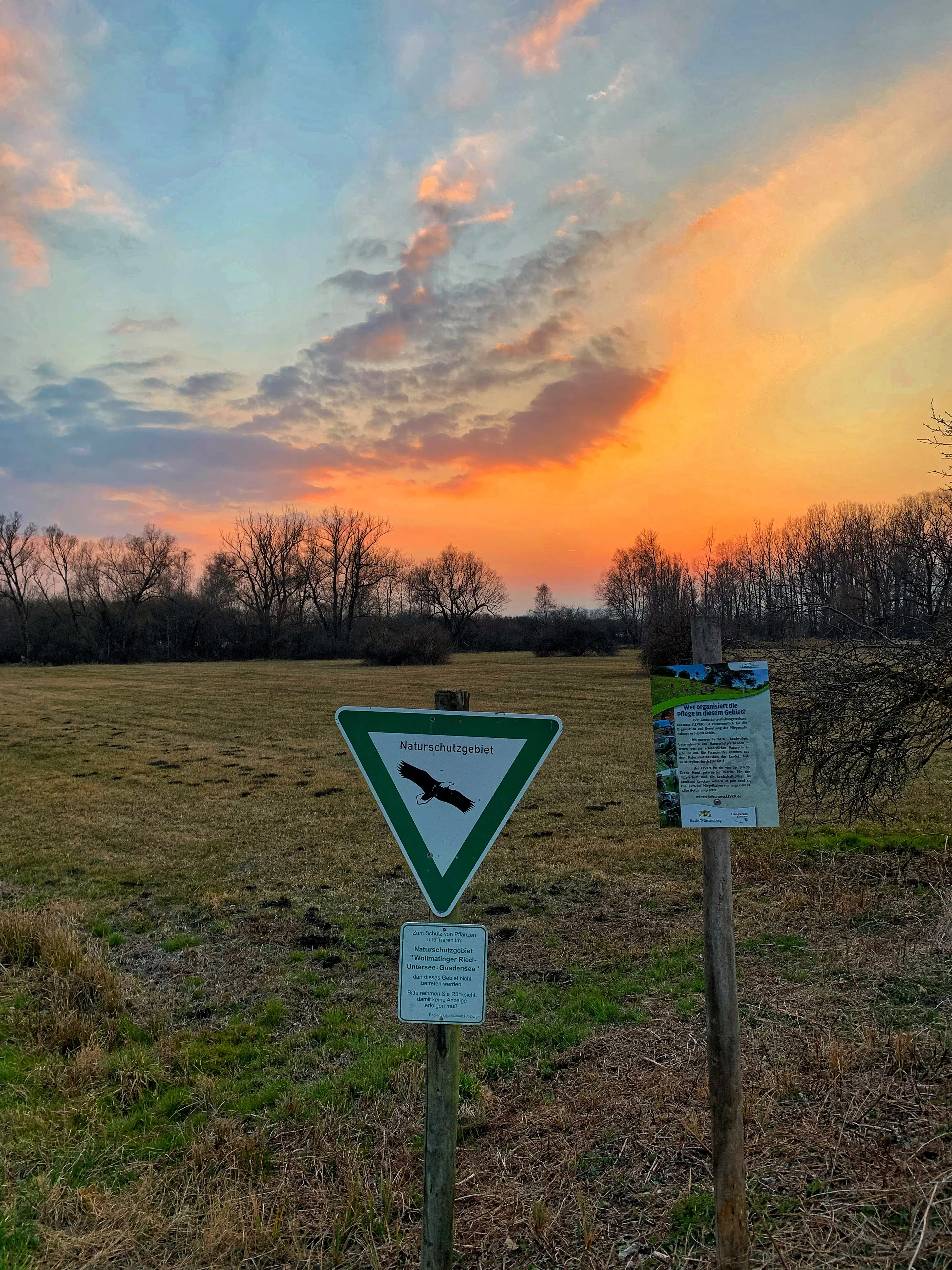 Der Campingplatz Hegne liegt direkt am Naturschutzgebiet Wollmatinger Ried. Naturbelassenes Camping und er Nähe von Konstanz.