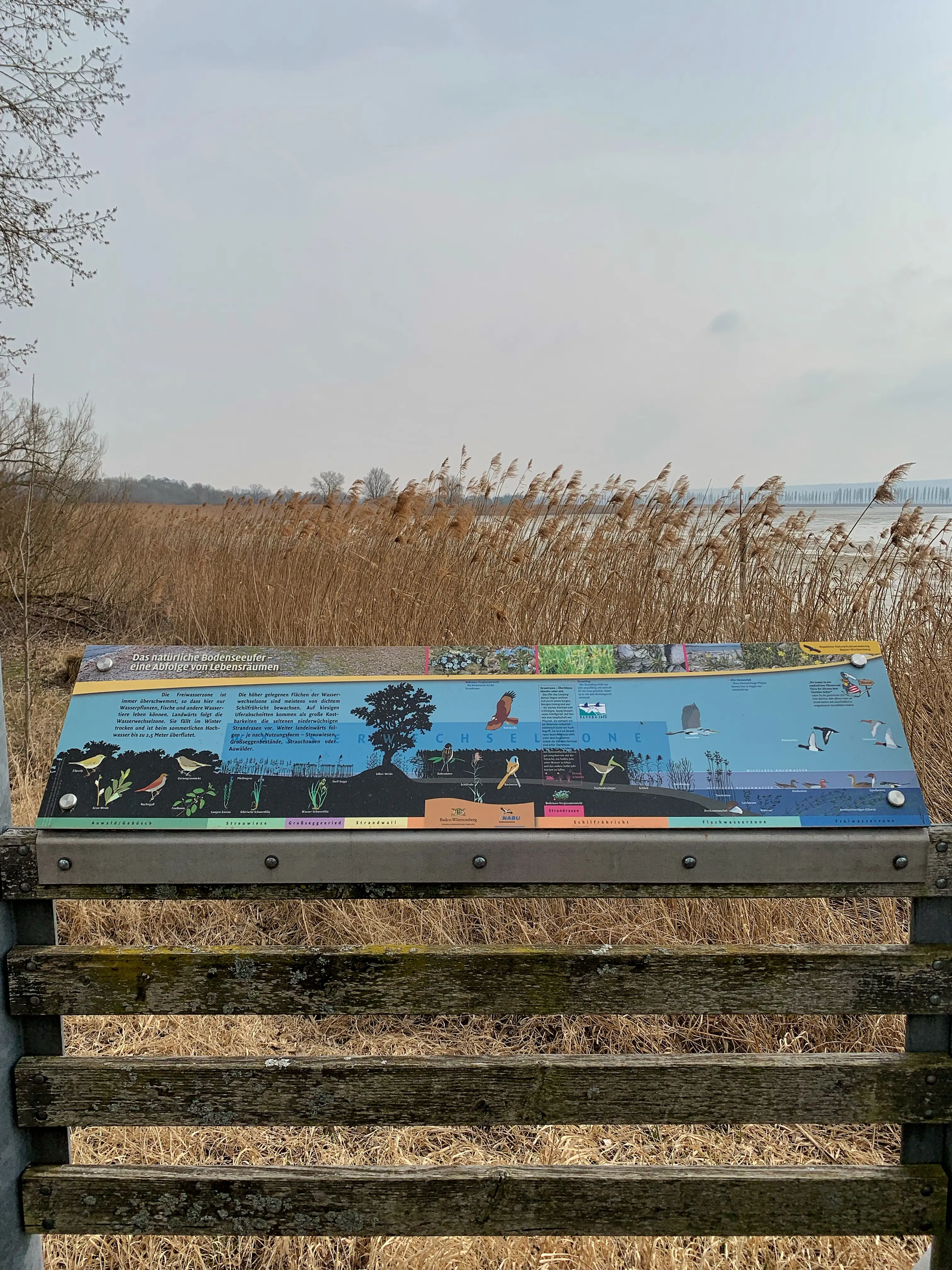 Direkt am Wollmatinger Ried mit Blick auf die Insel Reichenau kann man auf dem Campingplatz Hegne Urlaub am Bodensee verbringen.