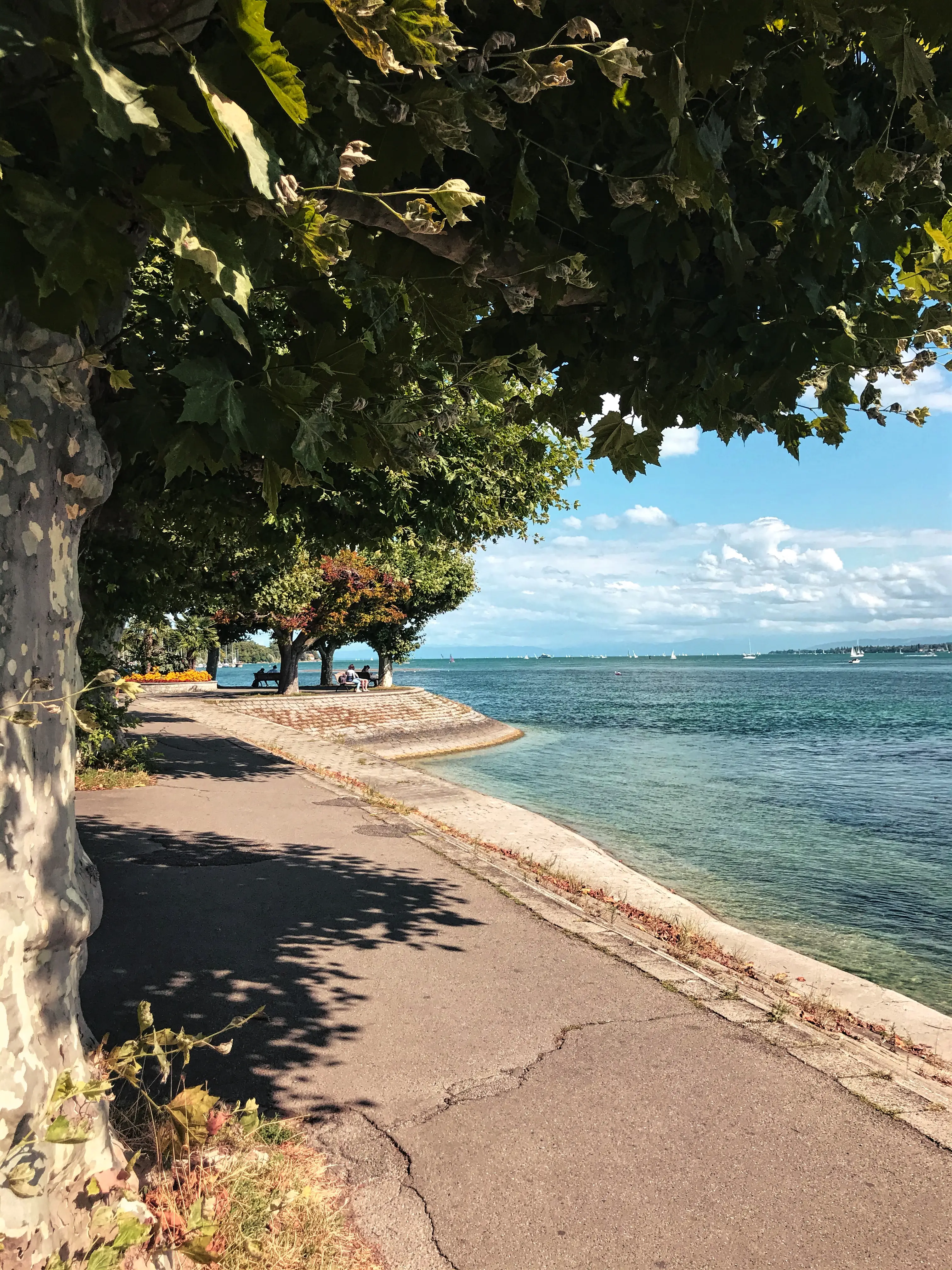 Die Seestraße in Konstanz führt direkt entlang des Bodensees.