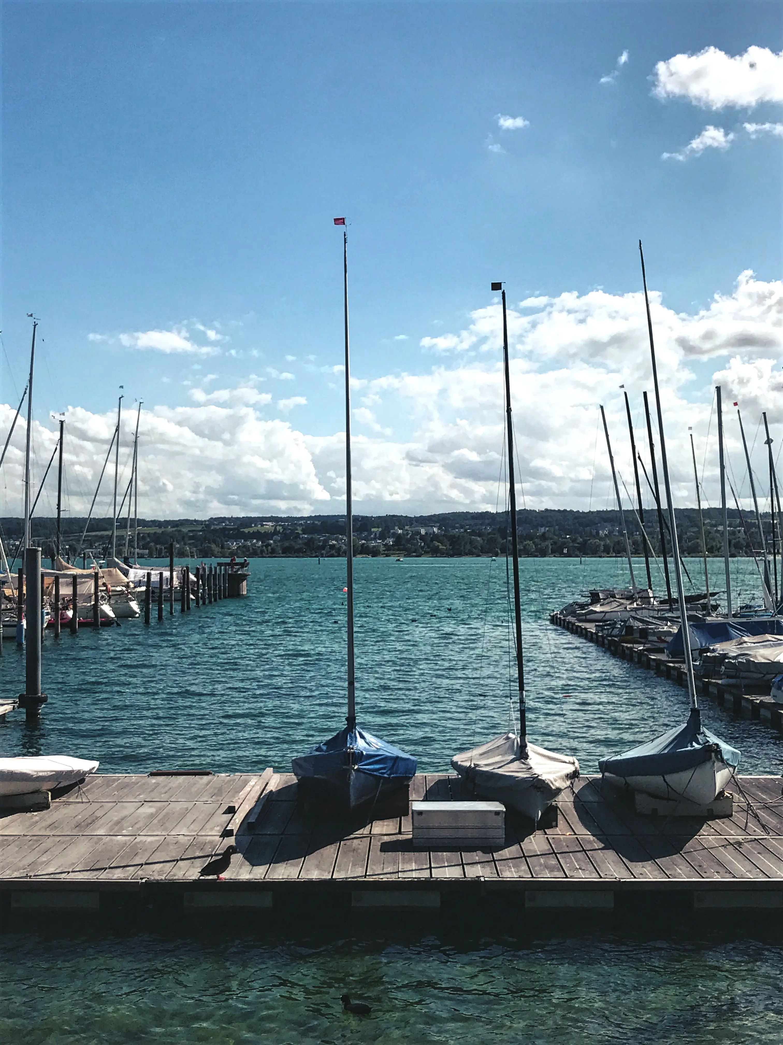 Die Seestraße in Konstanz führt auch zum dort ansässigen Jachthafen.