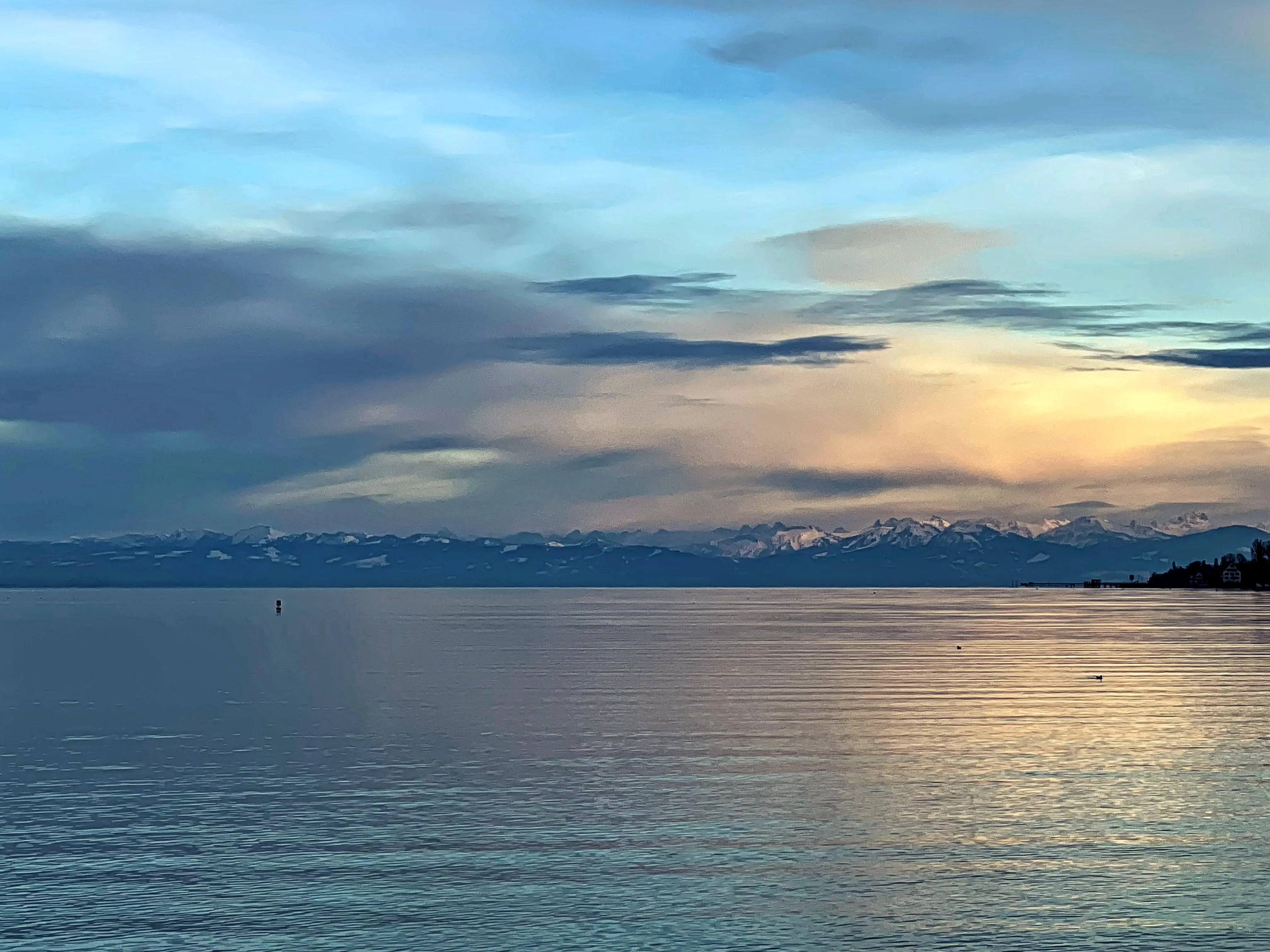 Bei klarer Sicht hat man von der Kunstgrenze aus einen wunderbaren Blick auf das Alpenpanorama am Bodensee.