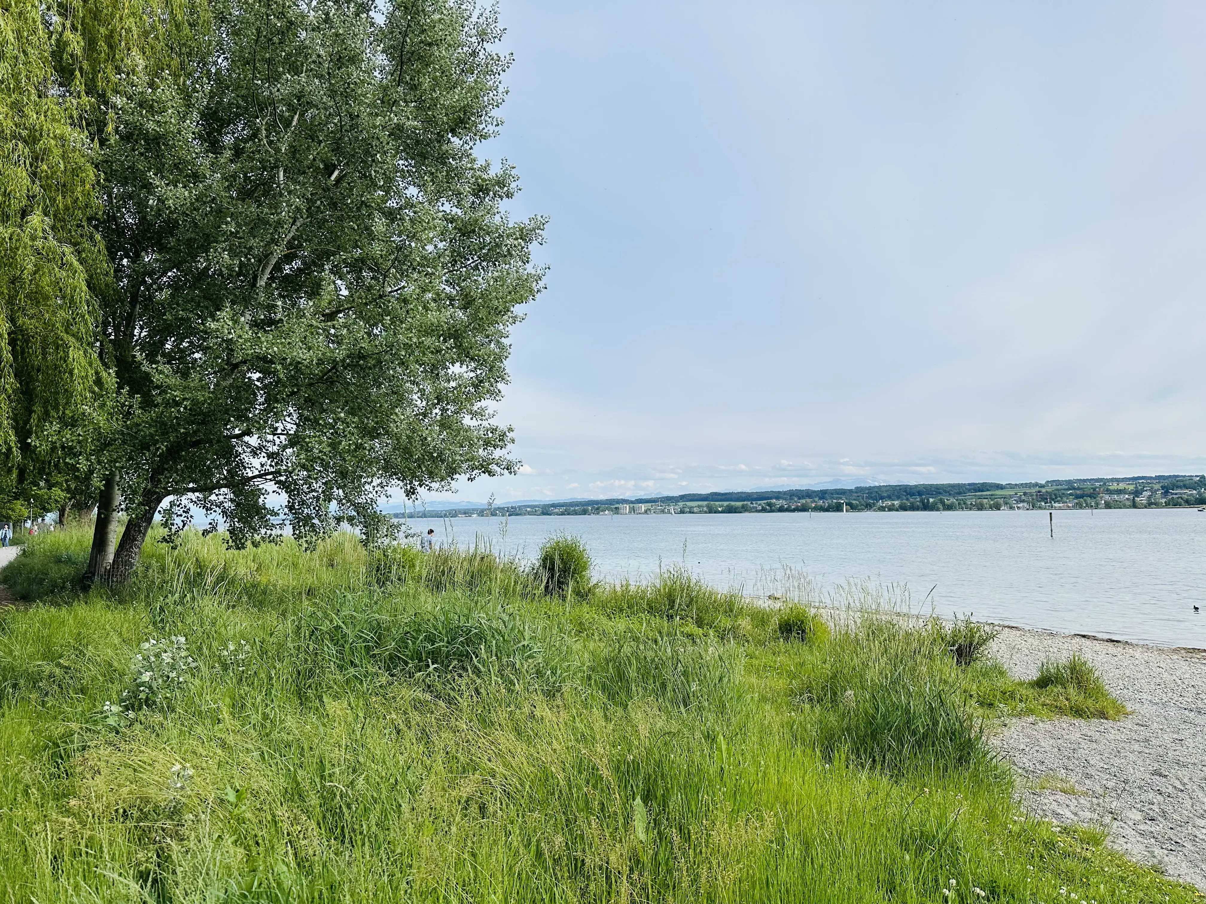 Gerade am Start des Planetenwegs von der Konstanzer Therme hat man einen hervorragenden Blick auf den Bodensee.