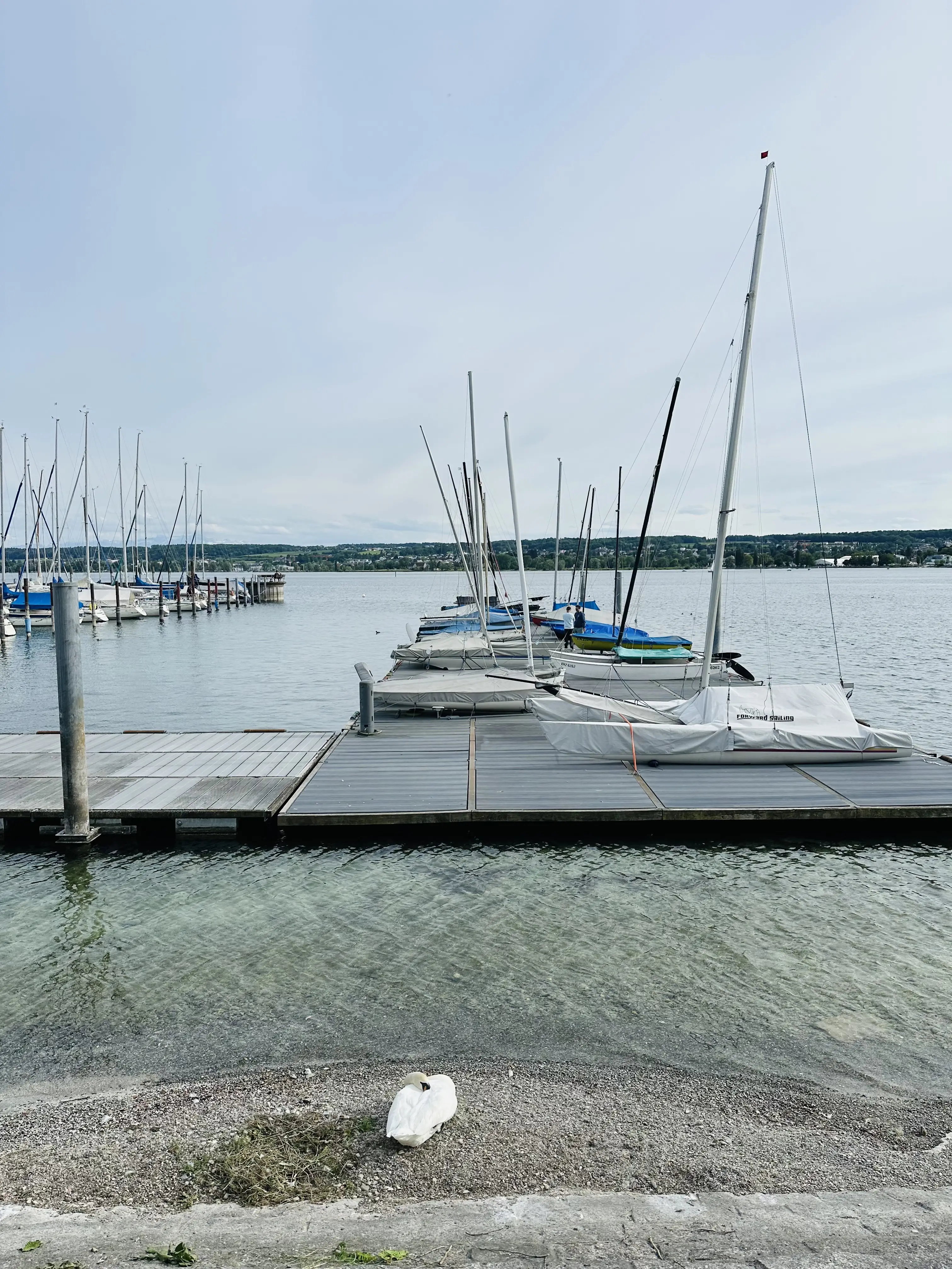 Auch der Konstanzer Yachthafen ist Teil des Planetenwegs und liefert einen herrlichen Blick auf den Bodensee.