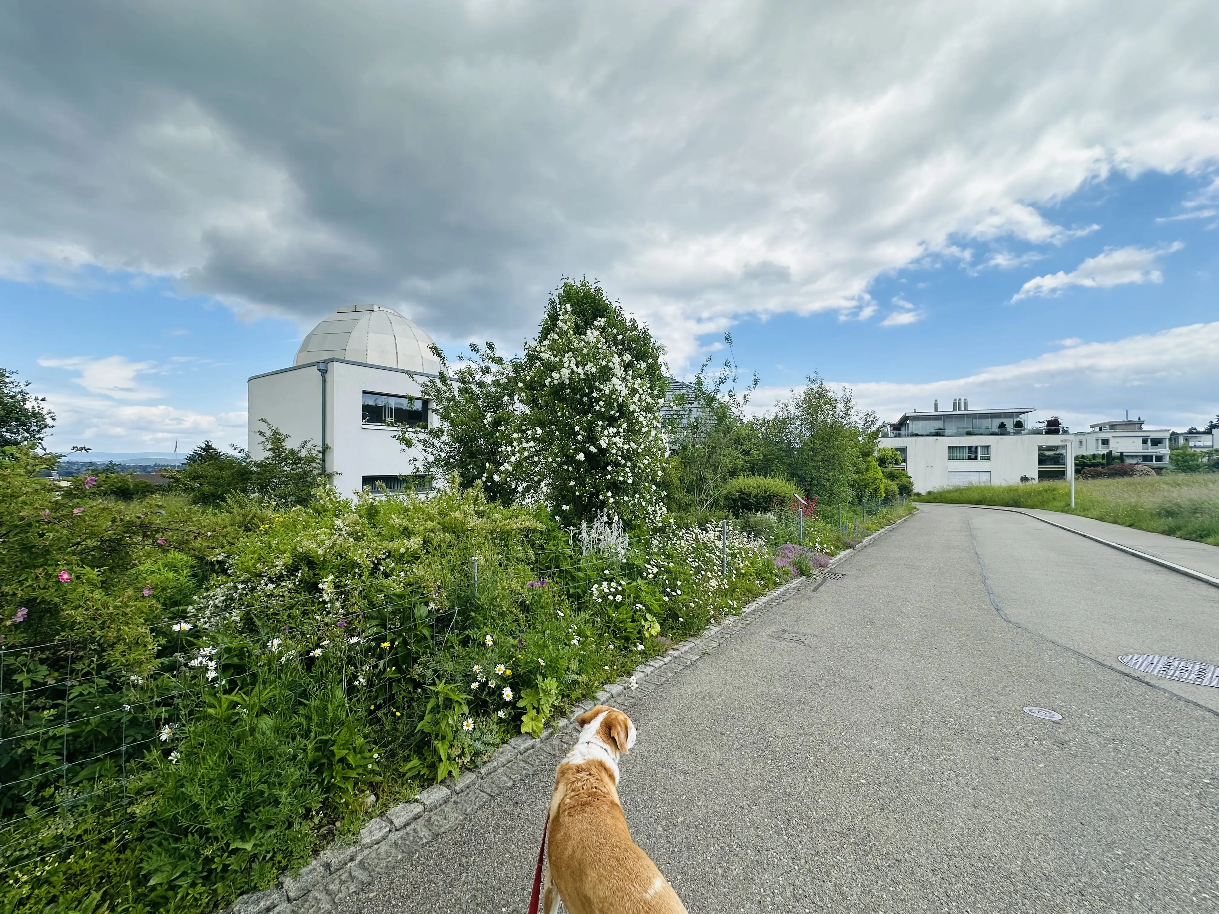Der Planetenweg führt teilweise durch Kreuzlinger Wohngebiete auf der schweizer Seite des Bodensees.
