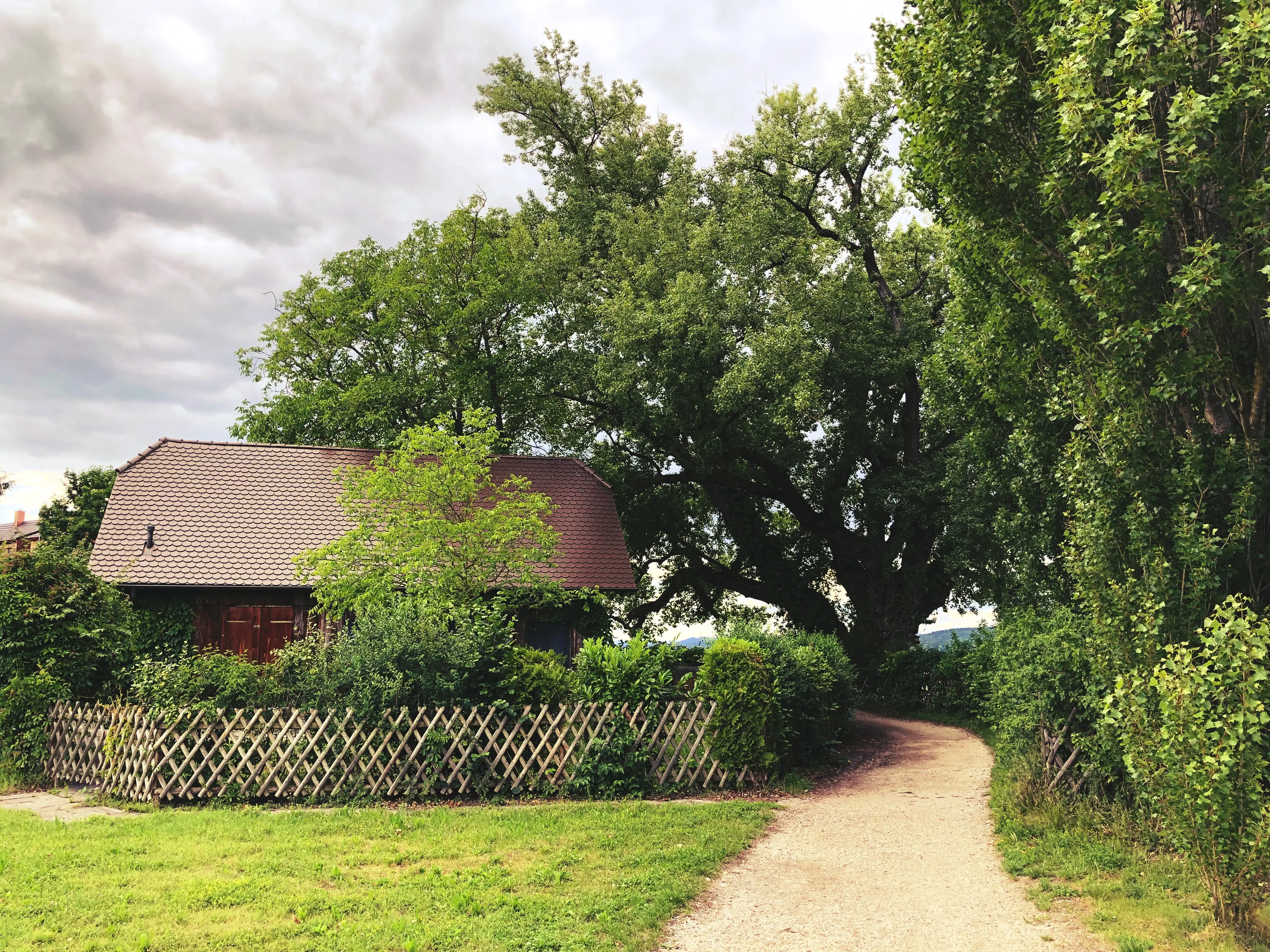 Auf der Reichenau ist man mitten im Grünen unterwegs.