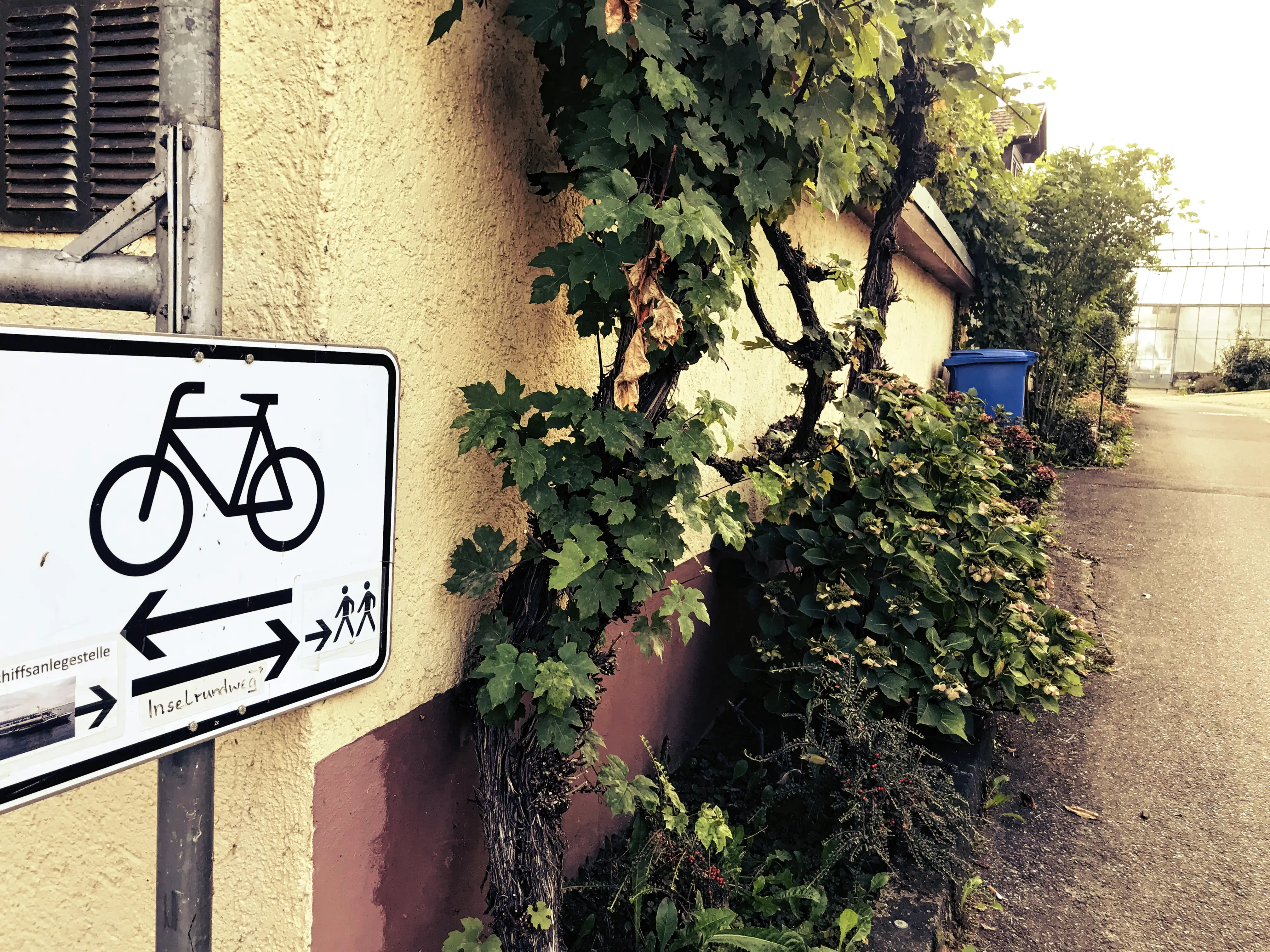 Auf der Reichenau gibt es auch einen Fahrradrundweg, auf dem man die Insel im Bodensee erkunden kann.