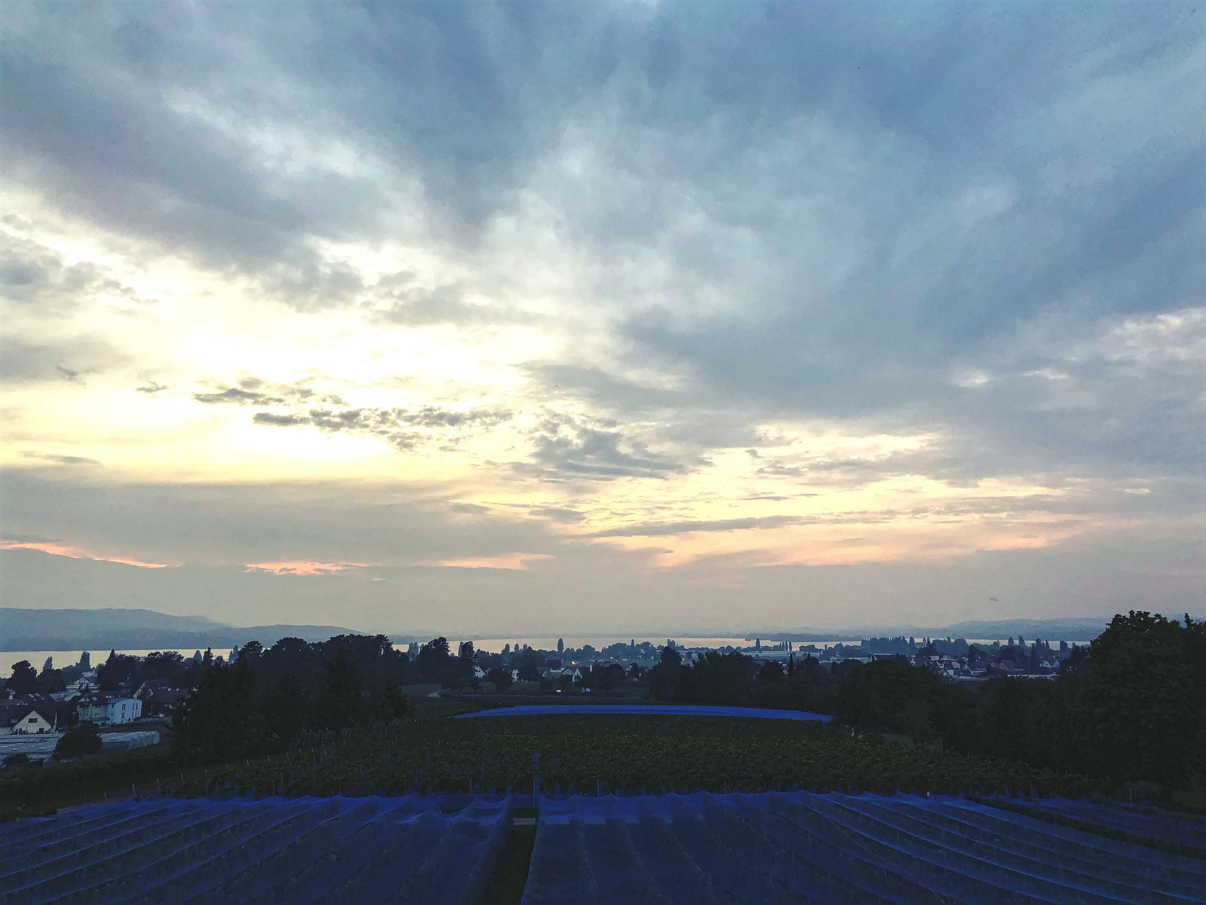 Vom höchsten Punkt der Insel Reichenau hat man auch bei Dämmerung einen tollen Panoramablick auf den Bodensee.