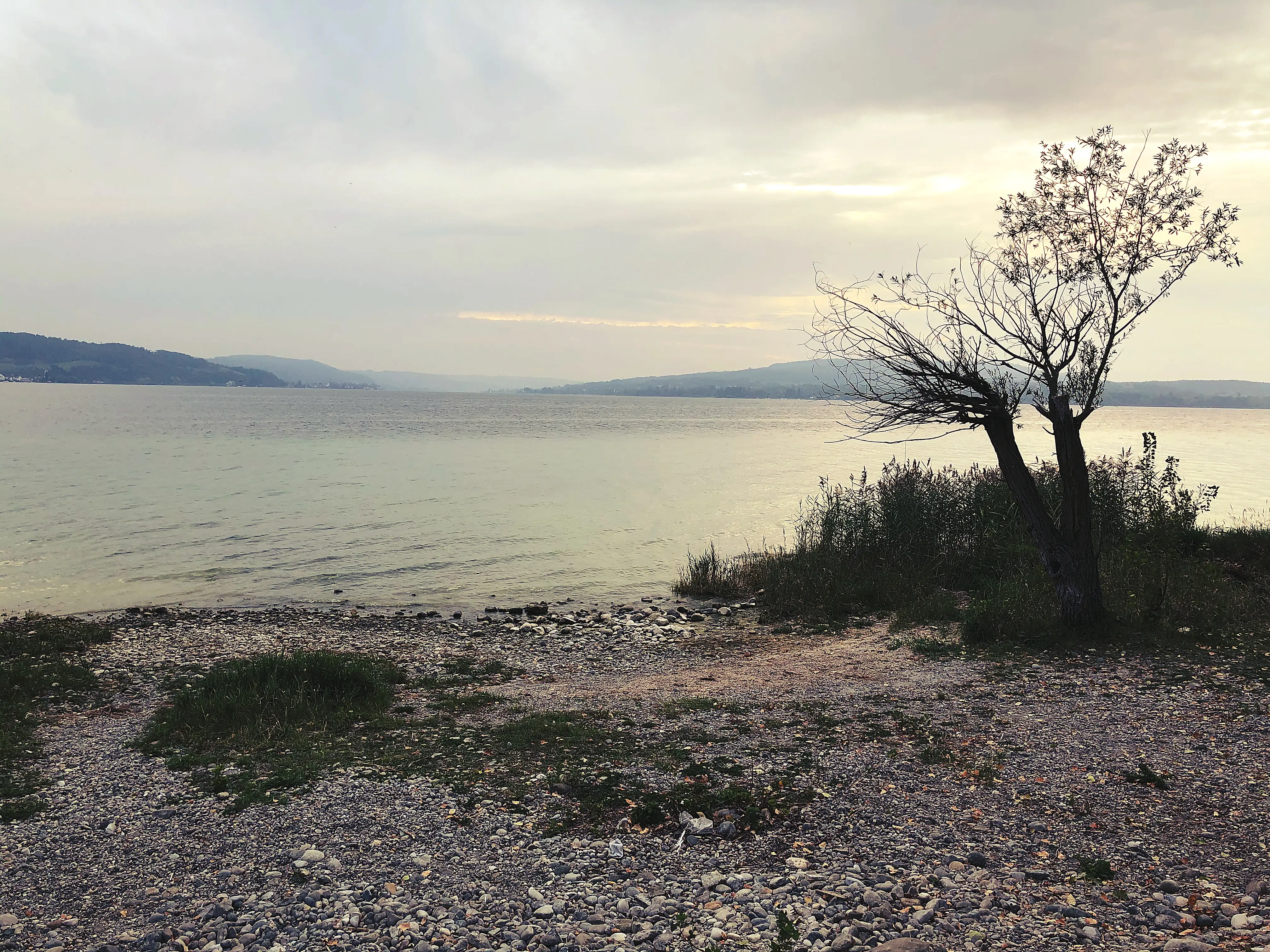 Immer wieder haben die Localsbodensee auf ihren Ausflug auf der Reichenau einen wunderbaren Blick auf dem Bodensee.