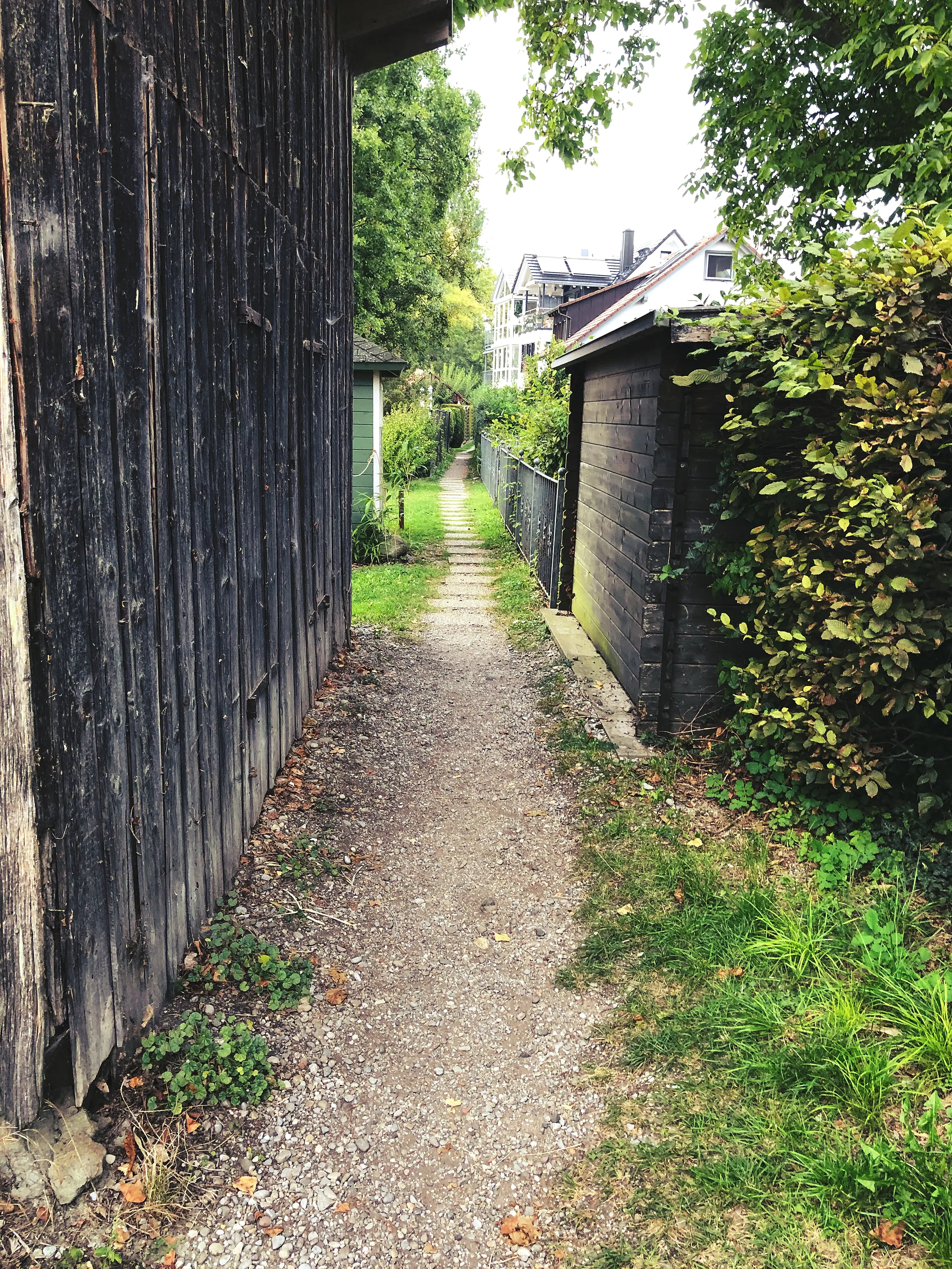 Kleine naturnahe Pfade und Wege führen über die Gemüseinsel Reichenau.