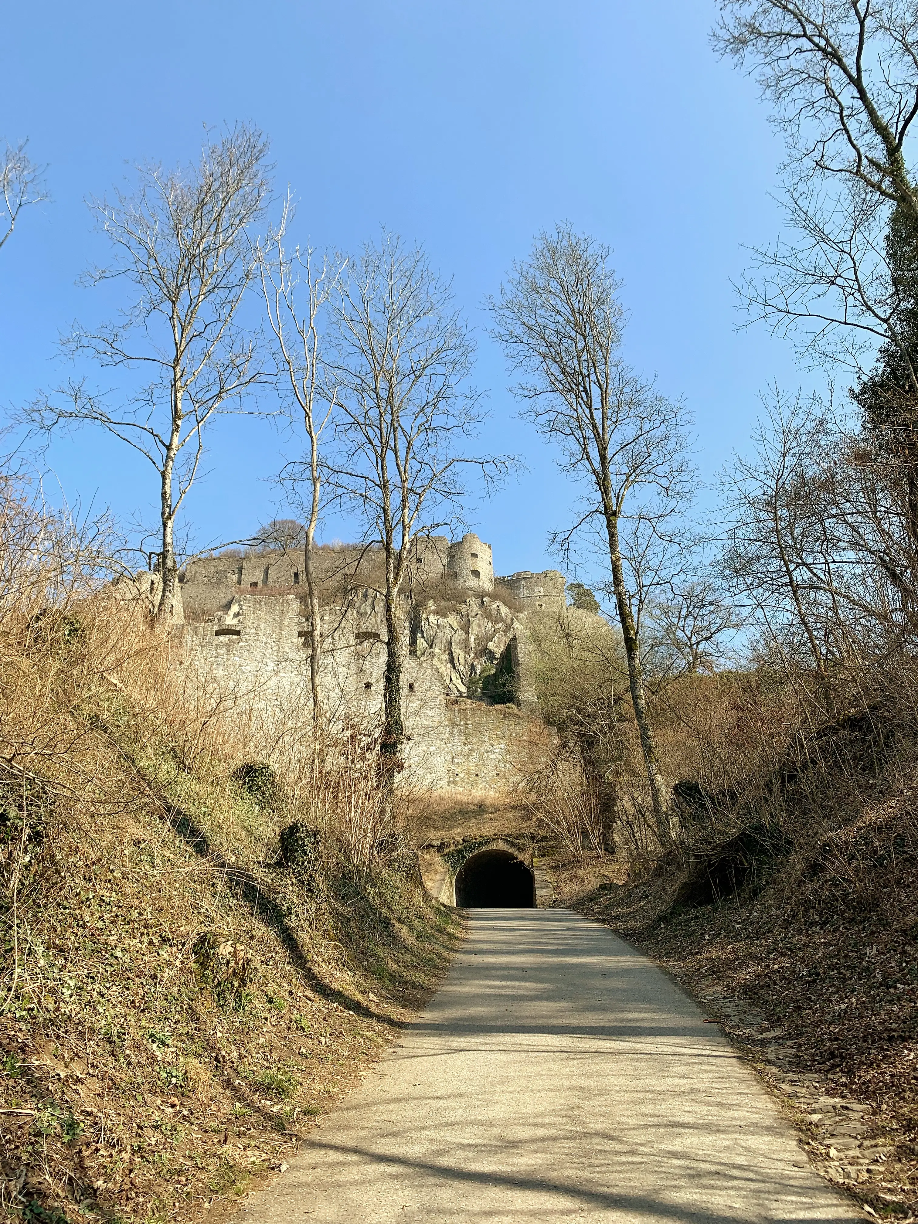 Nach dem Anstieg bietet sich oberhalb des Hohentwiels ein wunderbares Panorama auf den Bodensee.