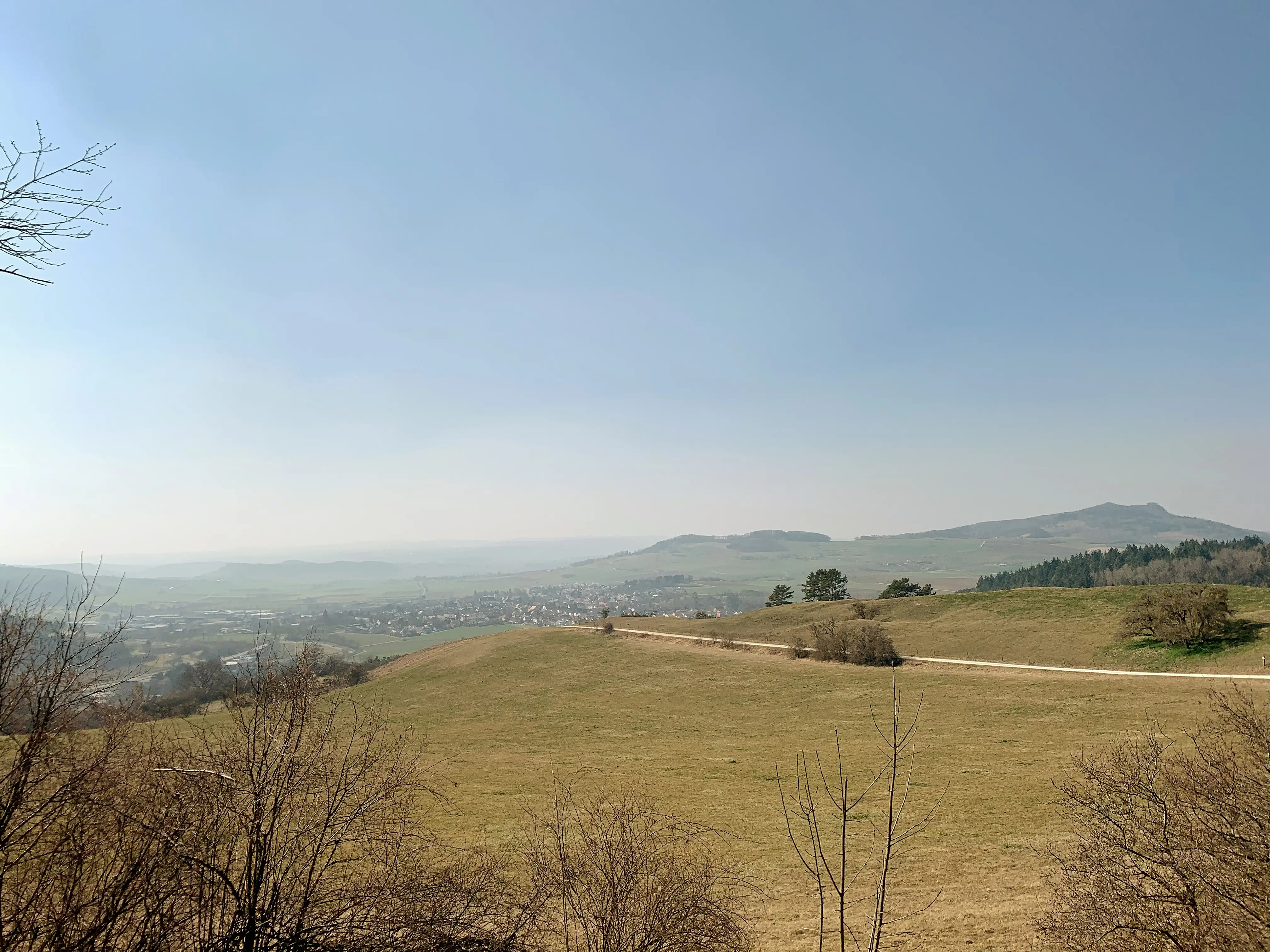 Das Umland des Bodensees besticht durch naturbelassende Wiesen und Streuobst-Anbau.