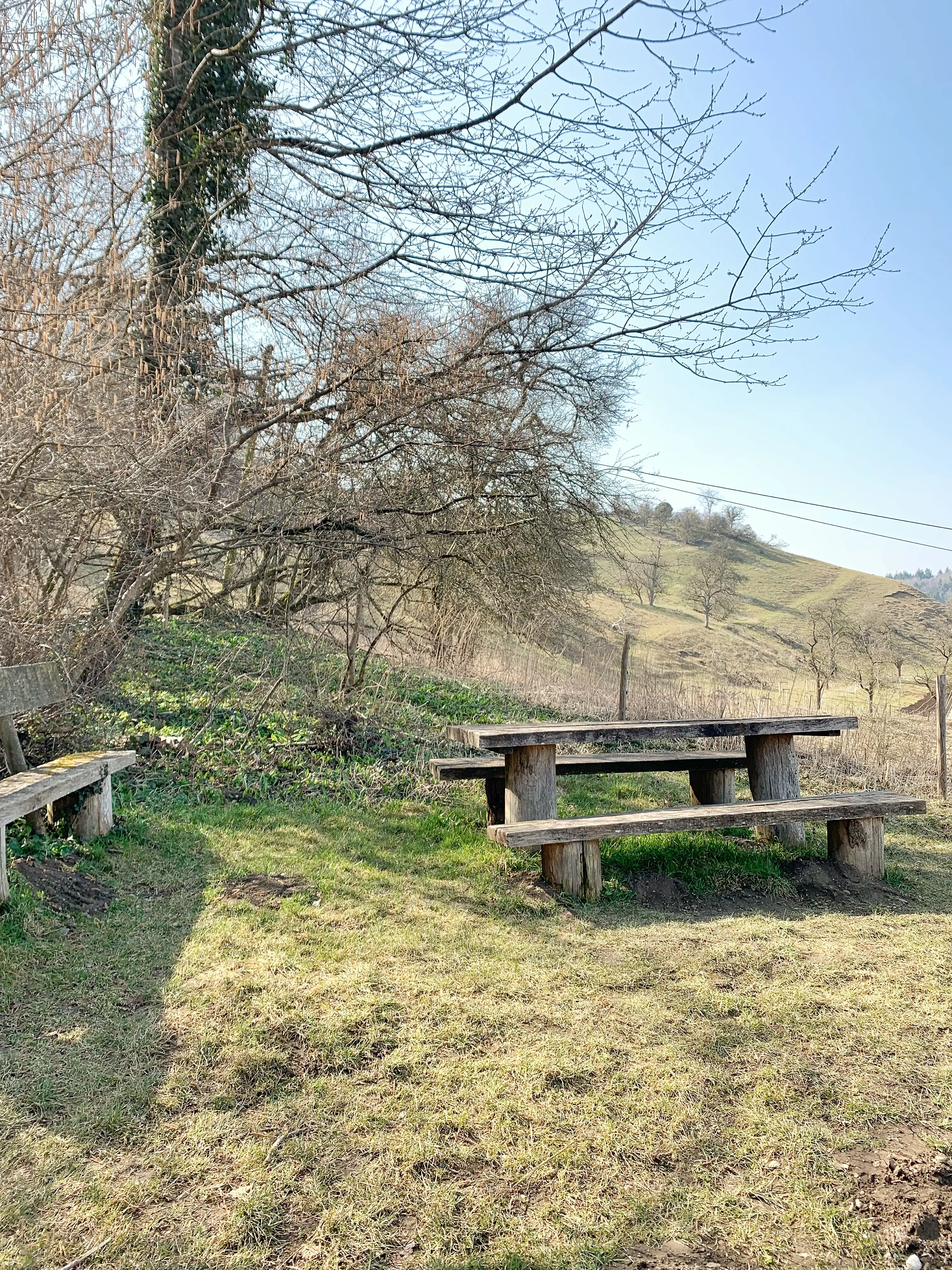 Das Hegau ist eine unberührte Natur, die sich für Wanderung am Bodensee eignet.