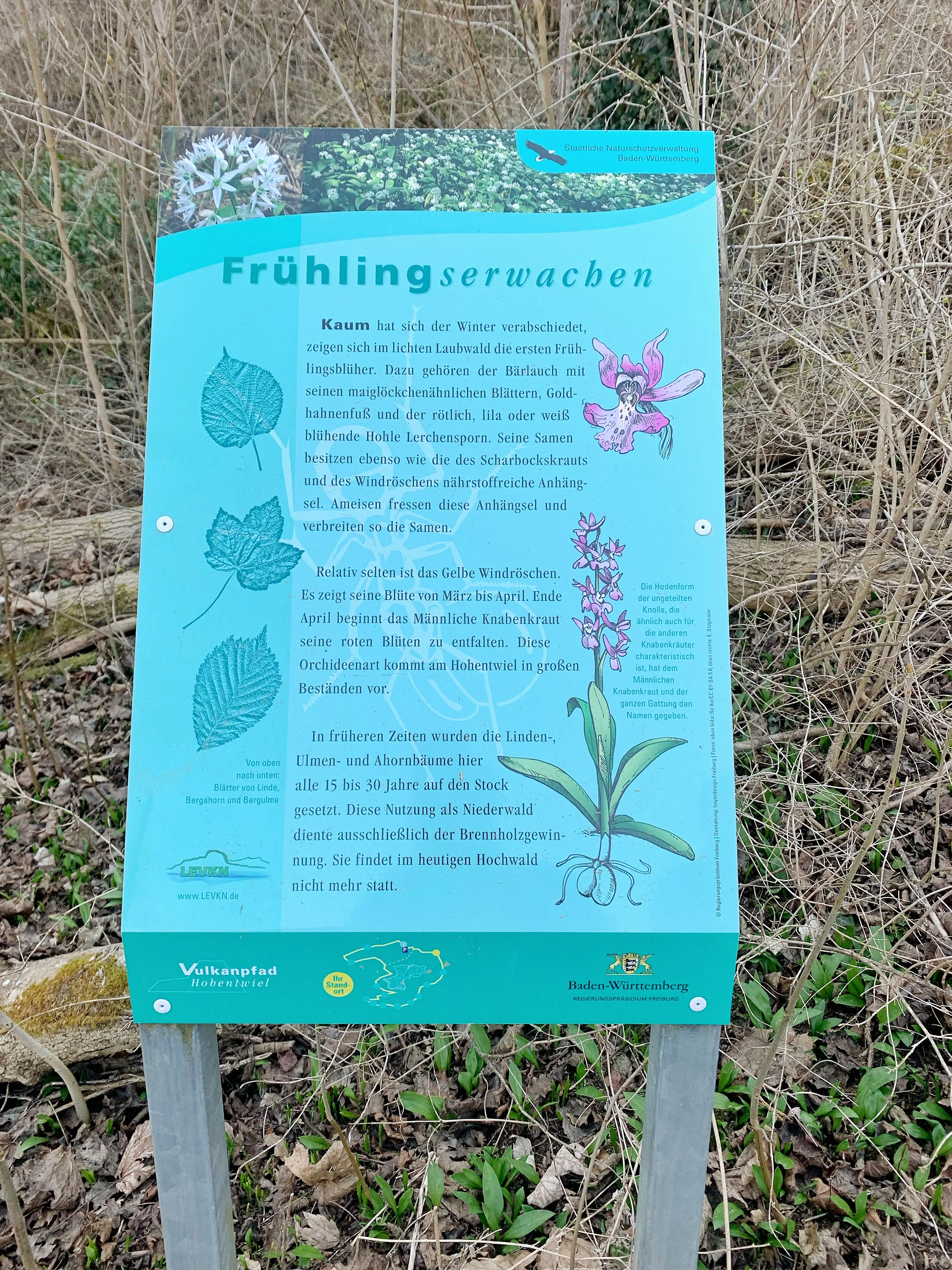Erklärtafeln auf dem Wanderweg zur Festungsruine des Hohentwiels.
