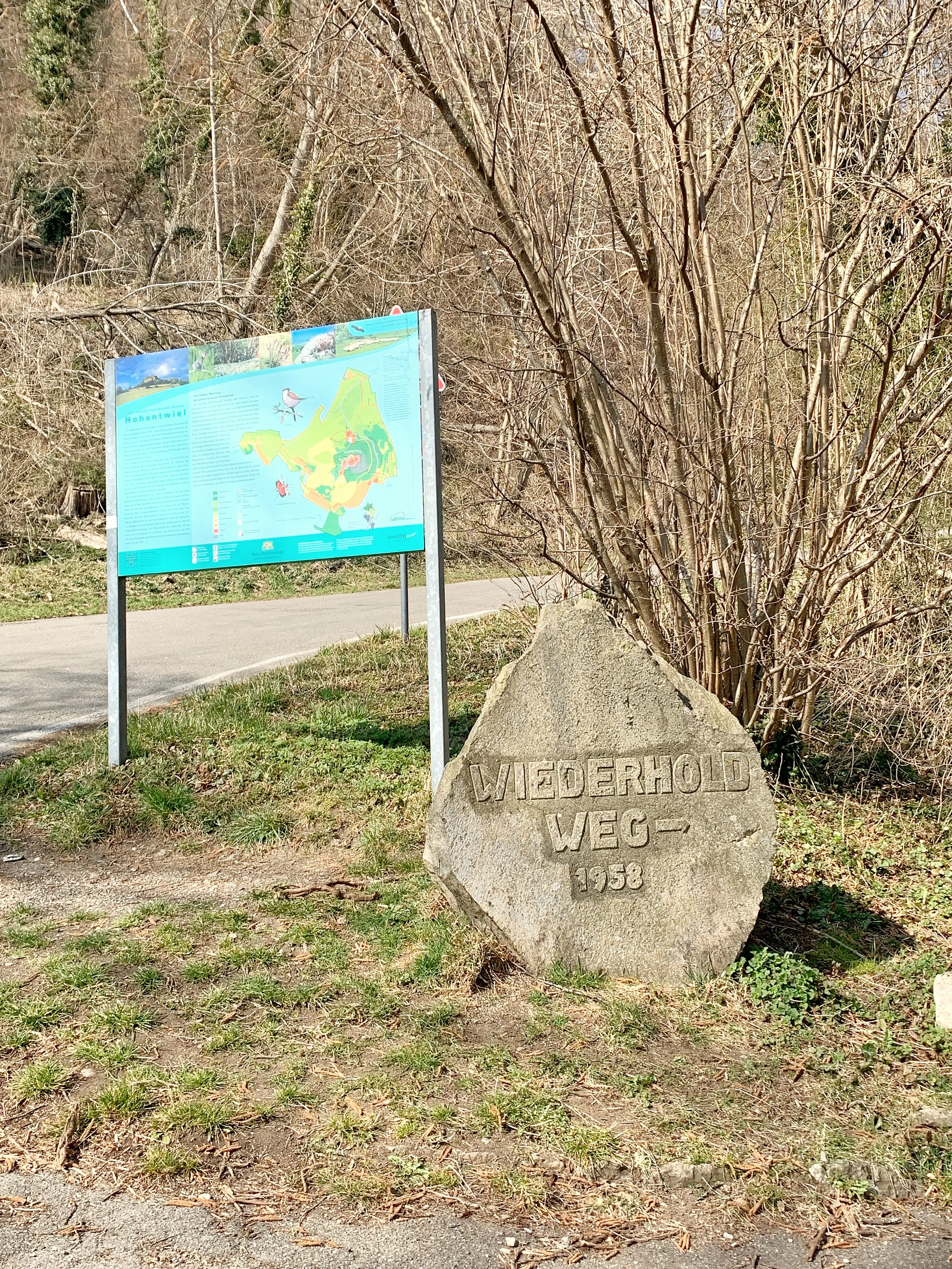 Der Bodensee gilt als idealer Urlaubsort für Radfahrer und Wanderer.