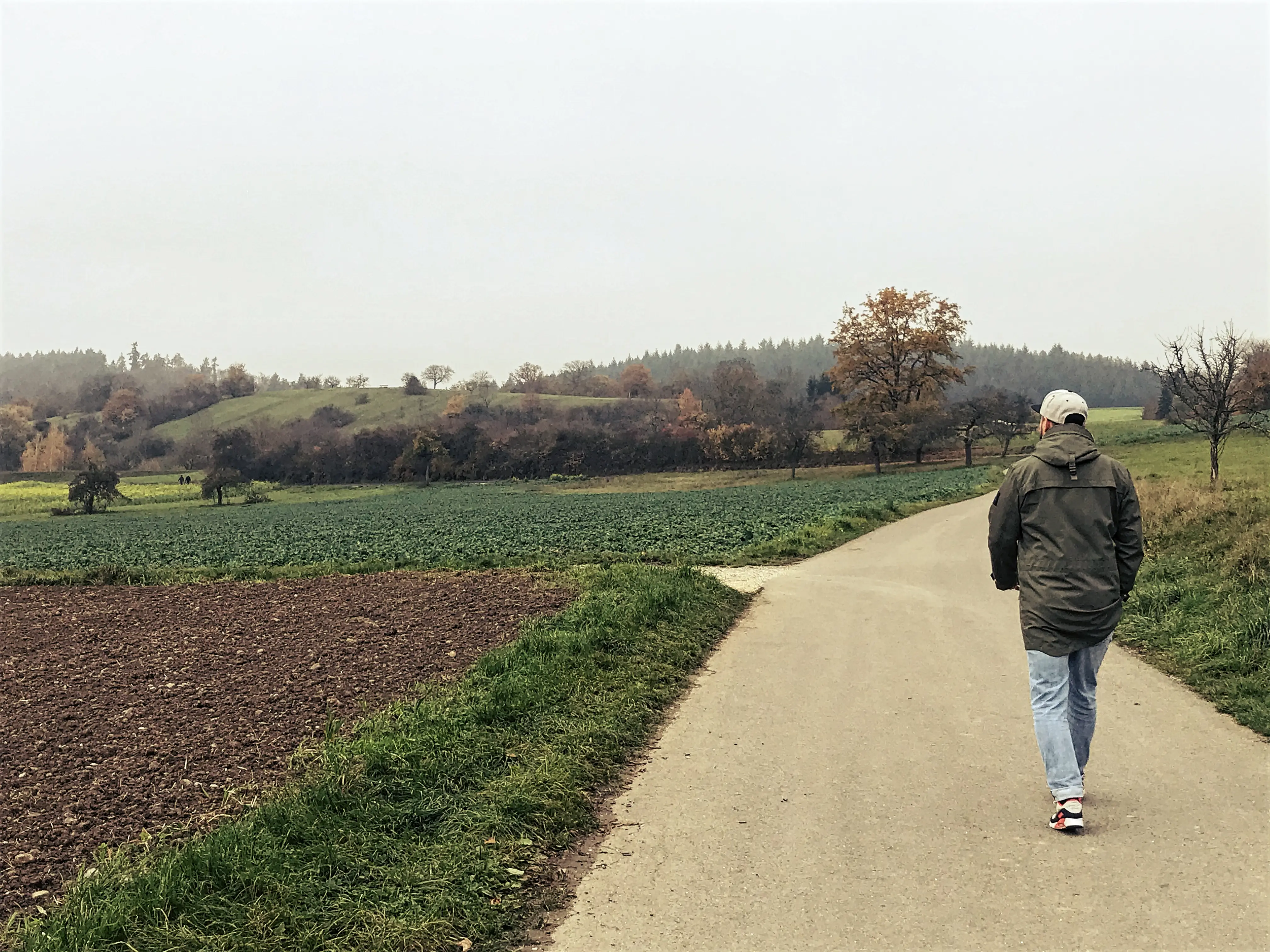 Die ersten Meter führen über Feldwege aus Allensbach am Bodensee hinaus Richtung Wald.