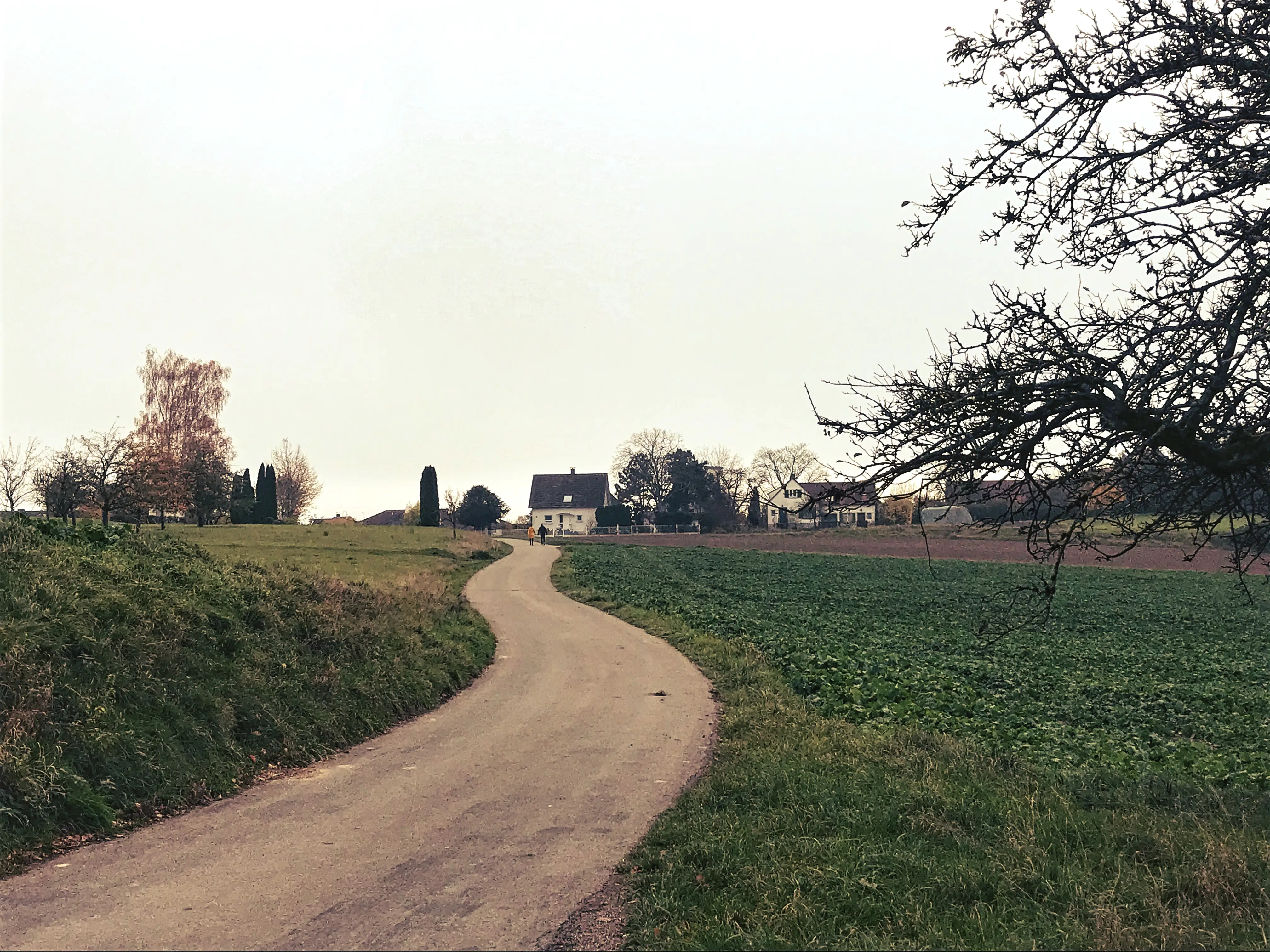Die Wege zum Wildpark Markelfingen am Bodensee führen über Feld- und Waldwege.