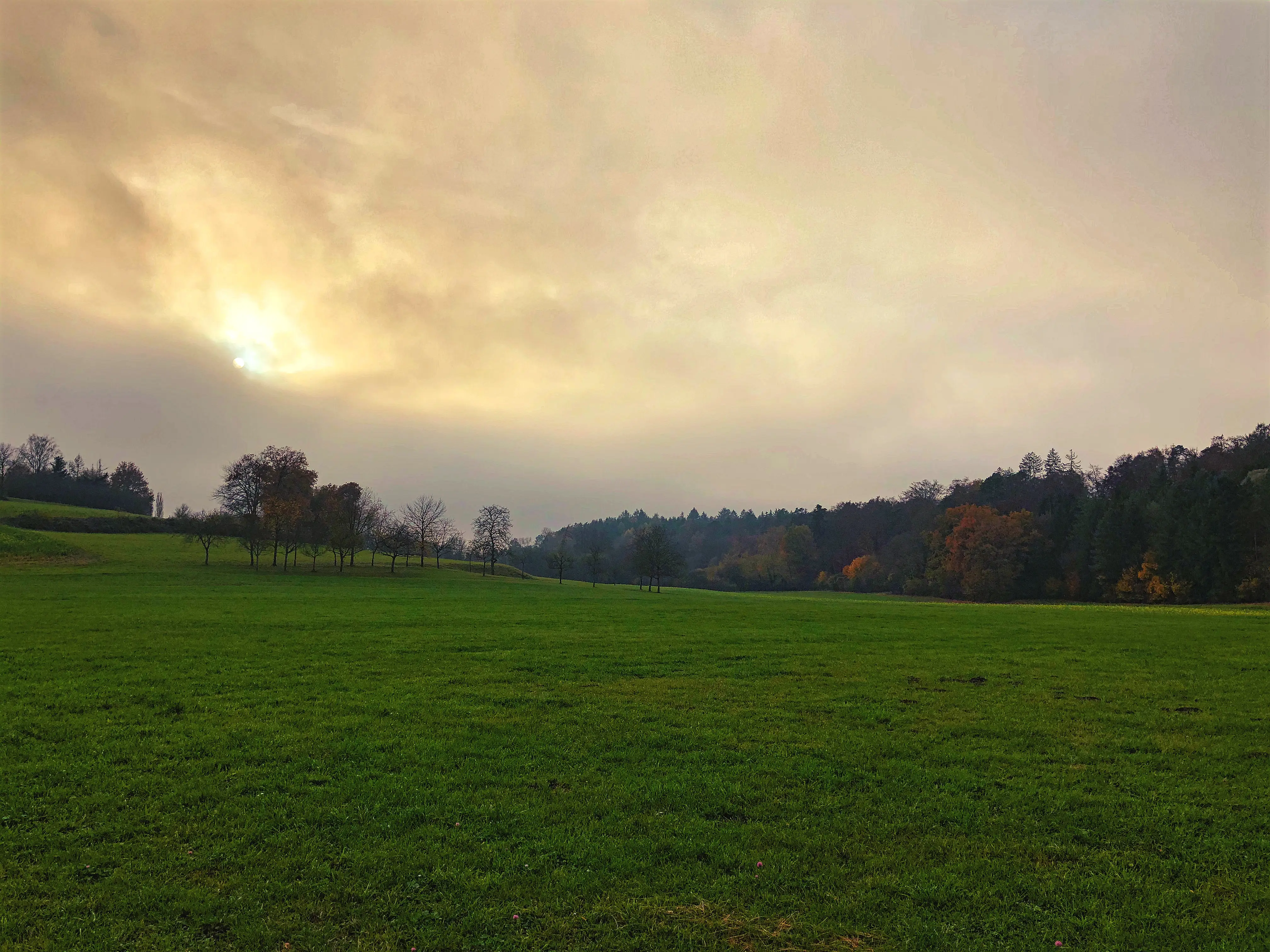 Weitläufige Wiesen und Landschaften machen den Ausflug zum Wildpark Markelfingen zu etwas Beruhigenden.