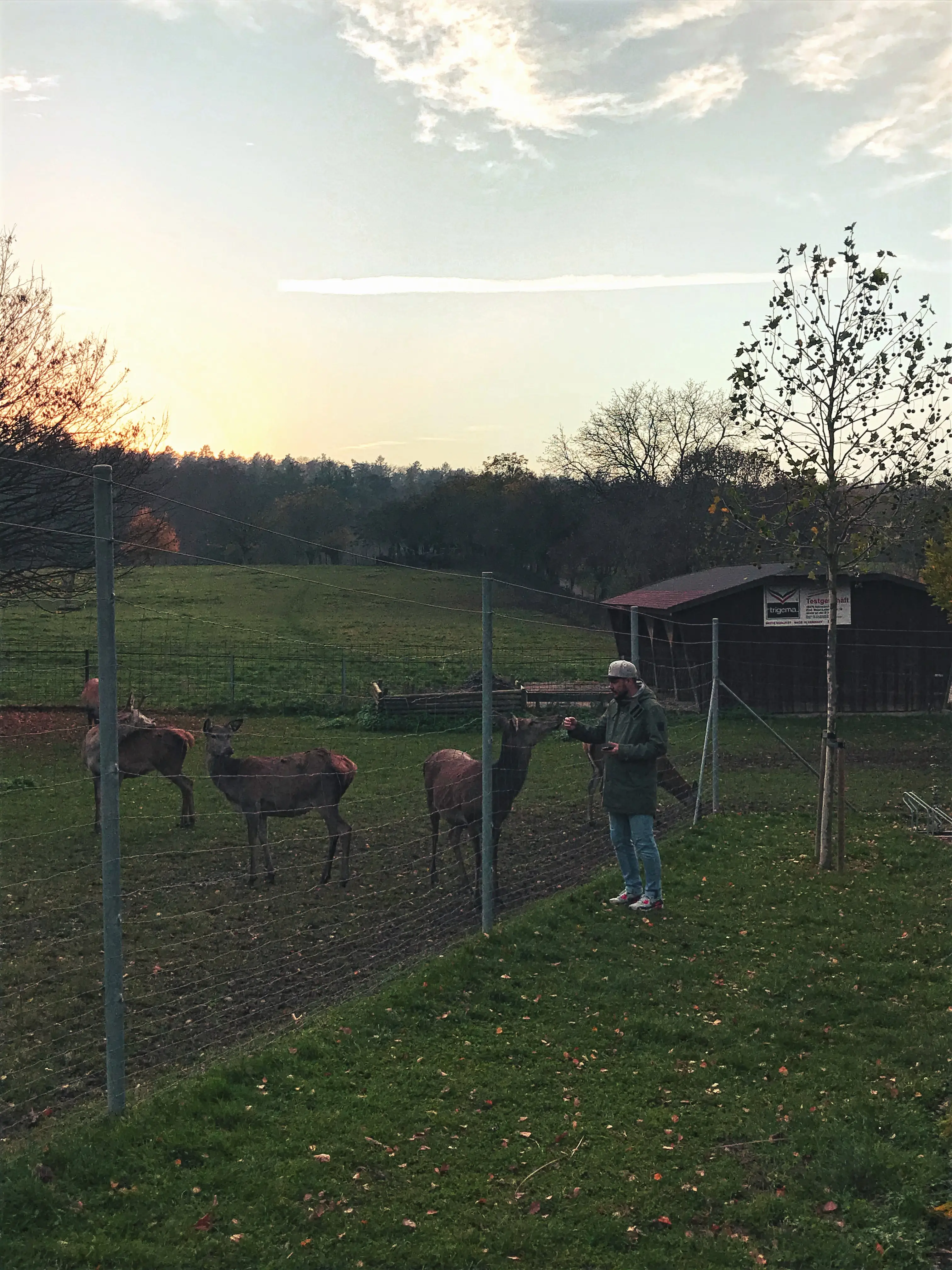 Neben dem zutraulichen Rotwild im Wildpark Markelfingen, gibt es auch noch eine Menge anderer Bewohner zu entdecken.