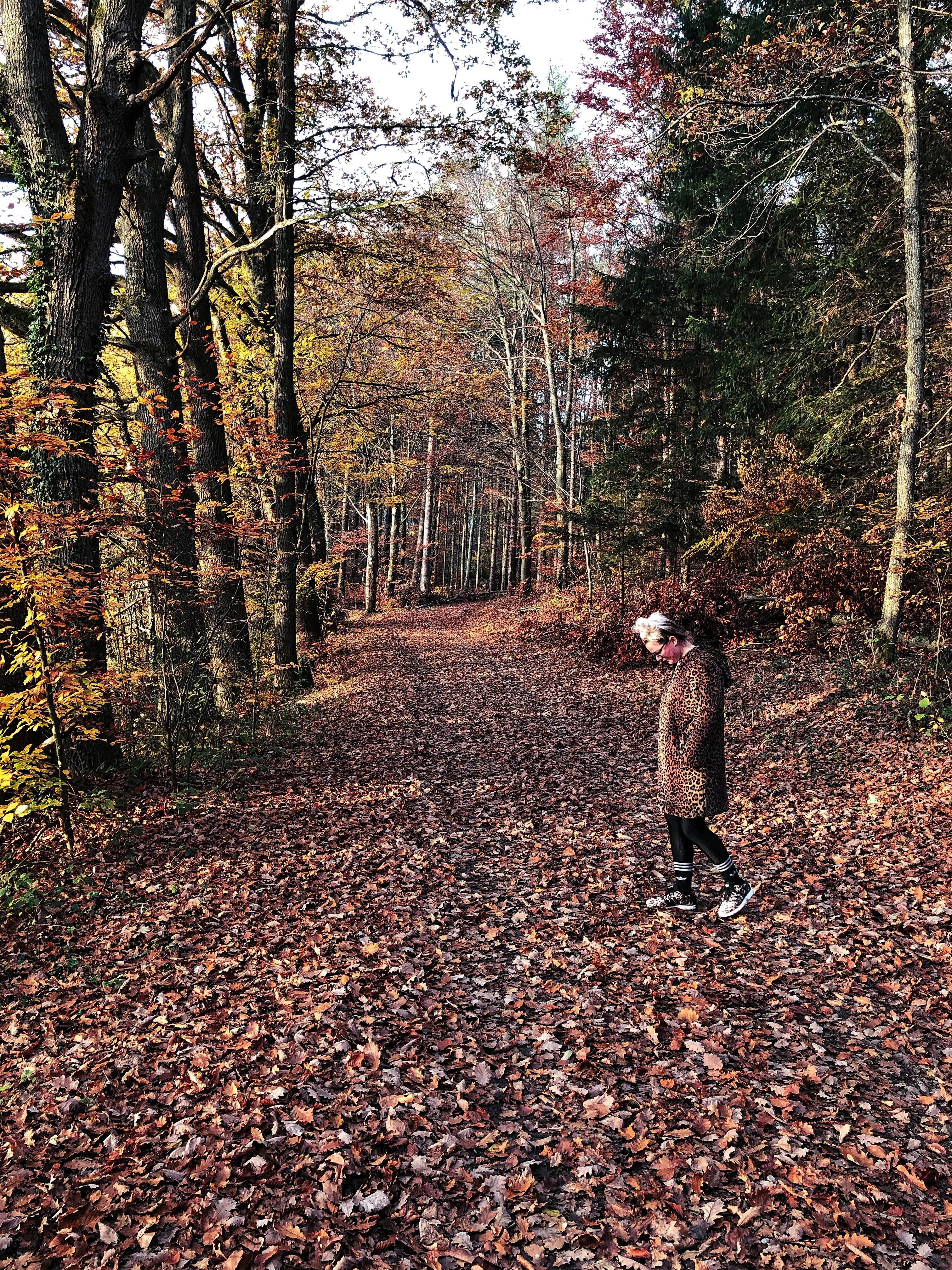 Als die Localsbodensee den Spaziergang unternommen haben, lag auf den Wegen zentimeterhoch das Laub.