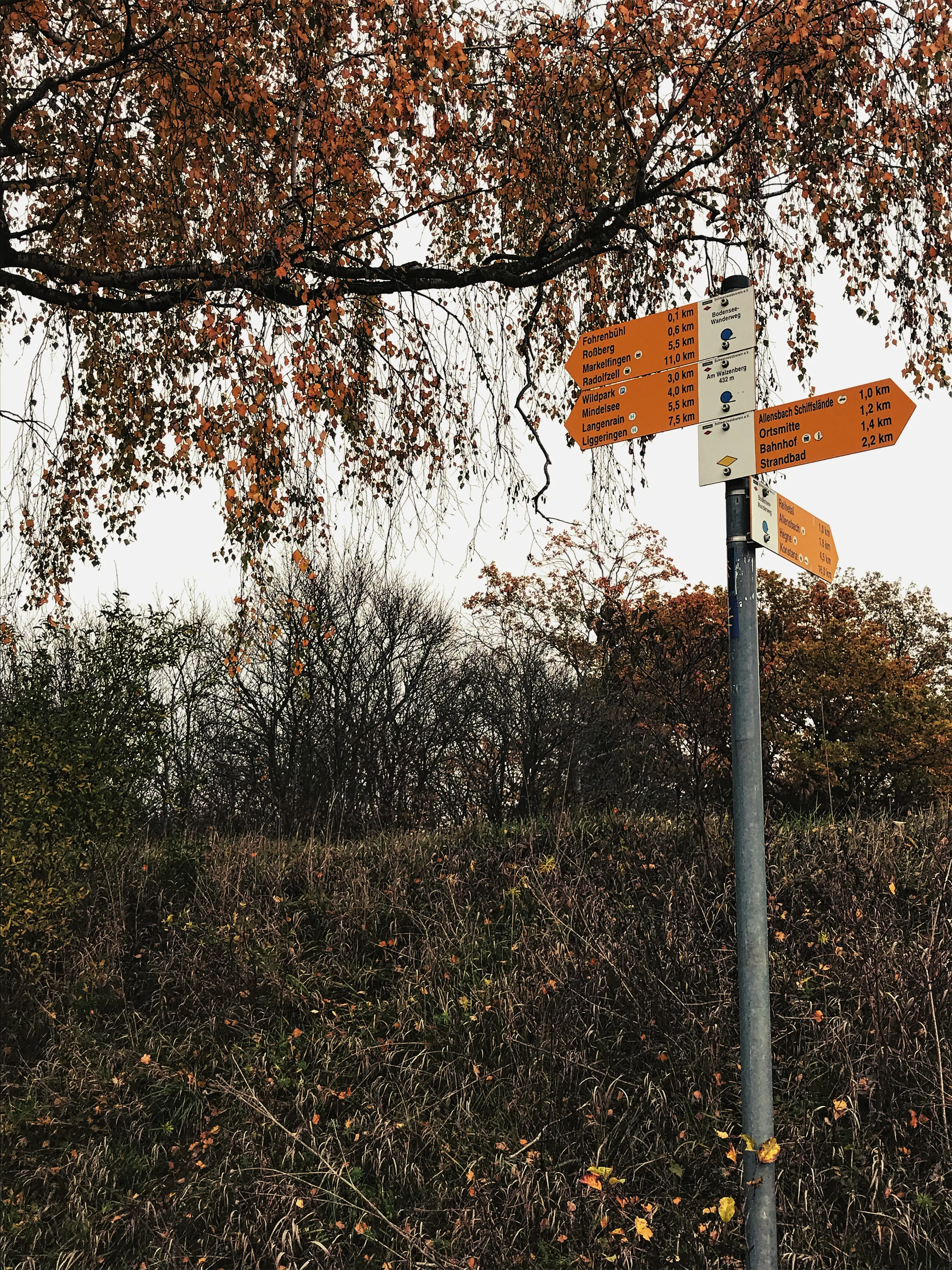 Auf der Weggabelung laufen die Localsbodensee Richtung Wildpark Markelfingen.