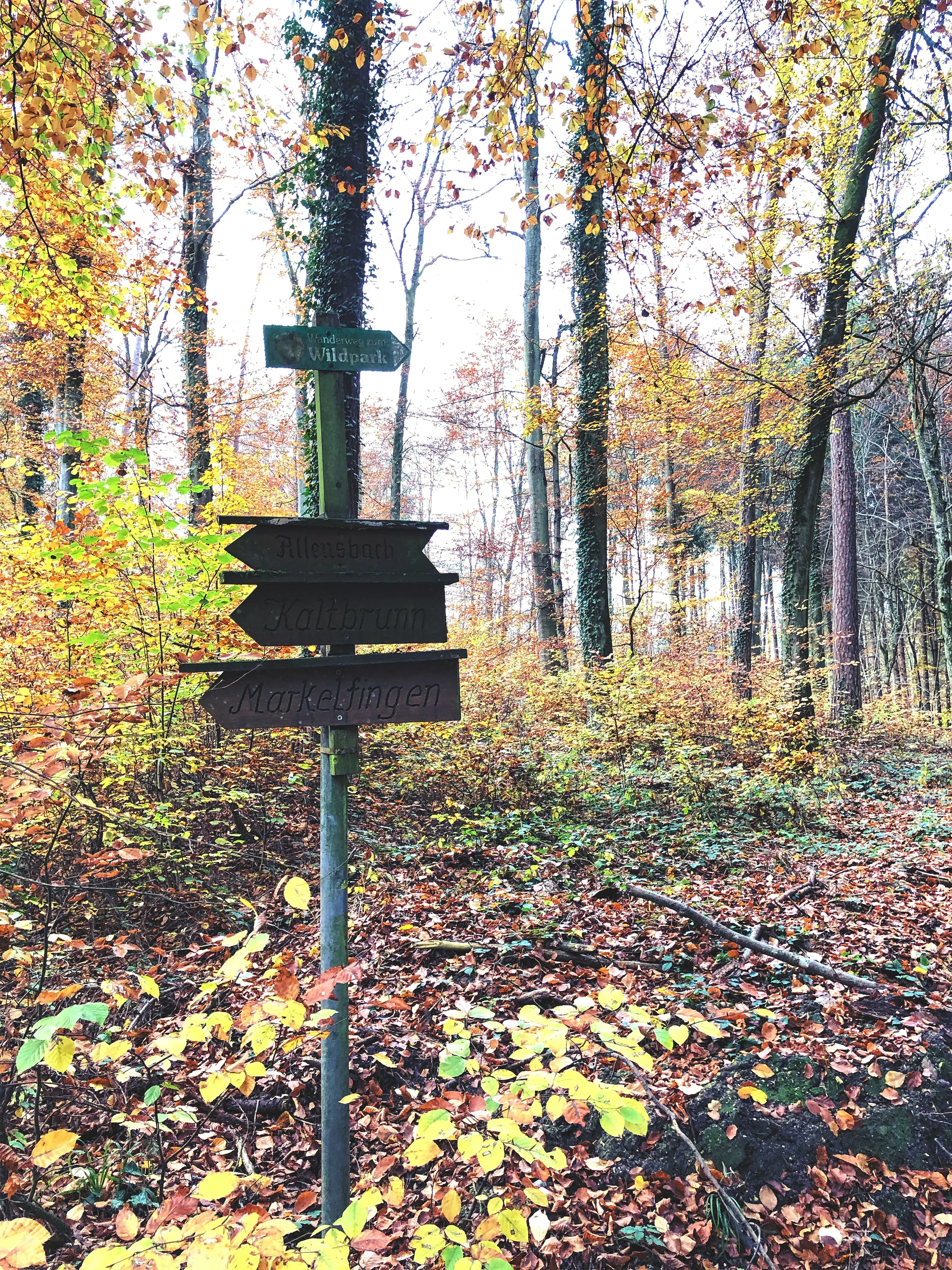 Der Weg zum Wildpark Markelfingen ist gut ausgeschildert.