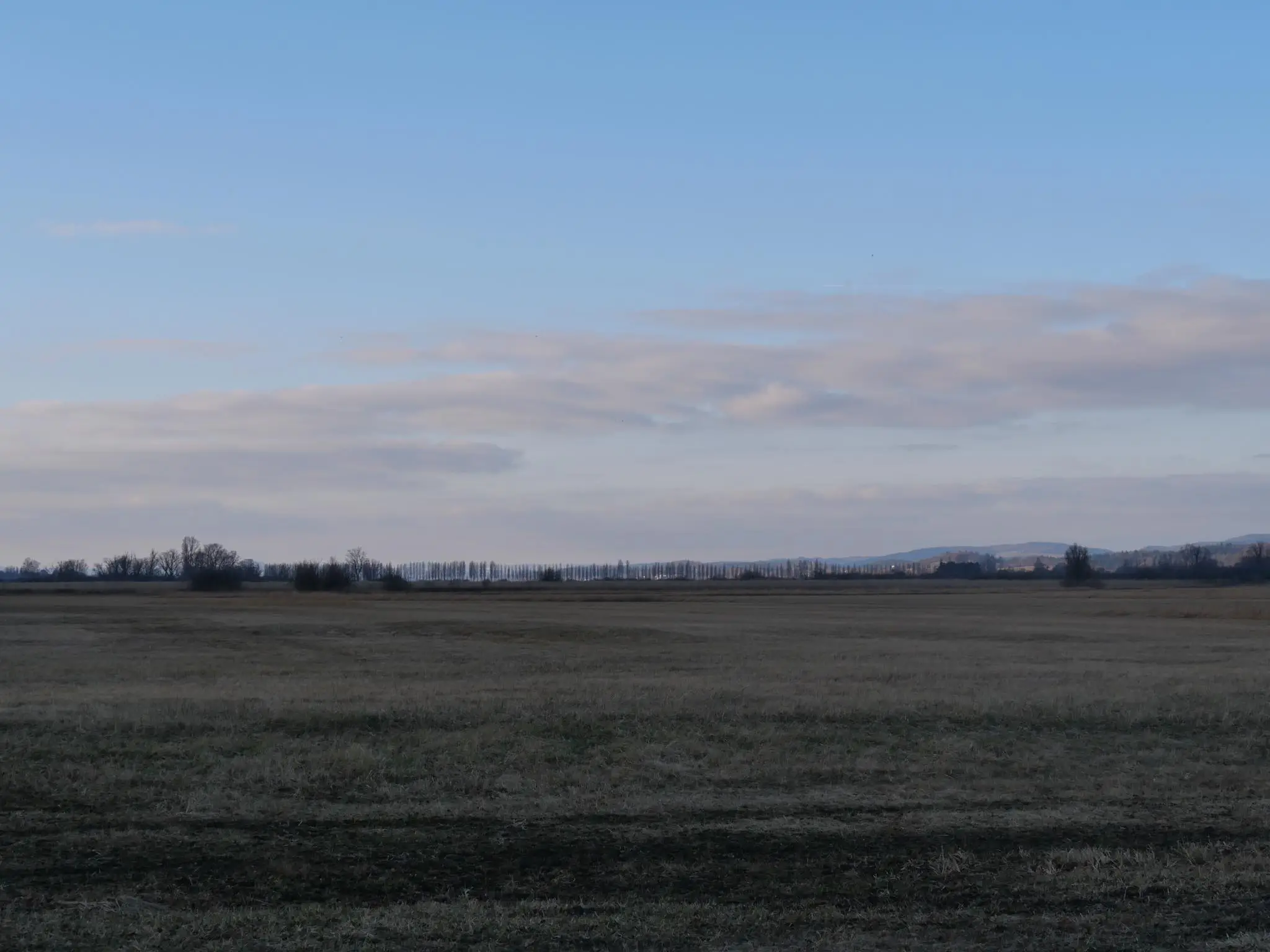 Das NABU Bodenseezentrum bietet tolle Ausflugstipp am Bodensee. Als localsbodensee lassen wir uns davon gerne inspirieren.