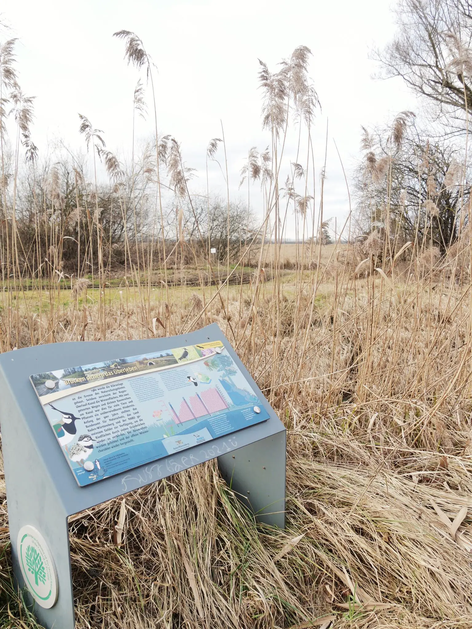 Das Wollmatinger Ried besticht durch mehrere Infotafel, die das Naturschutzgebiet am Bodensee erklären.