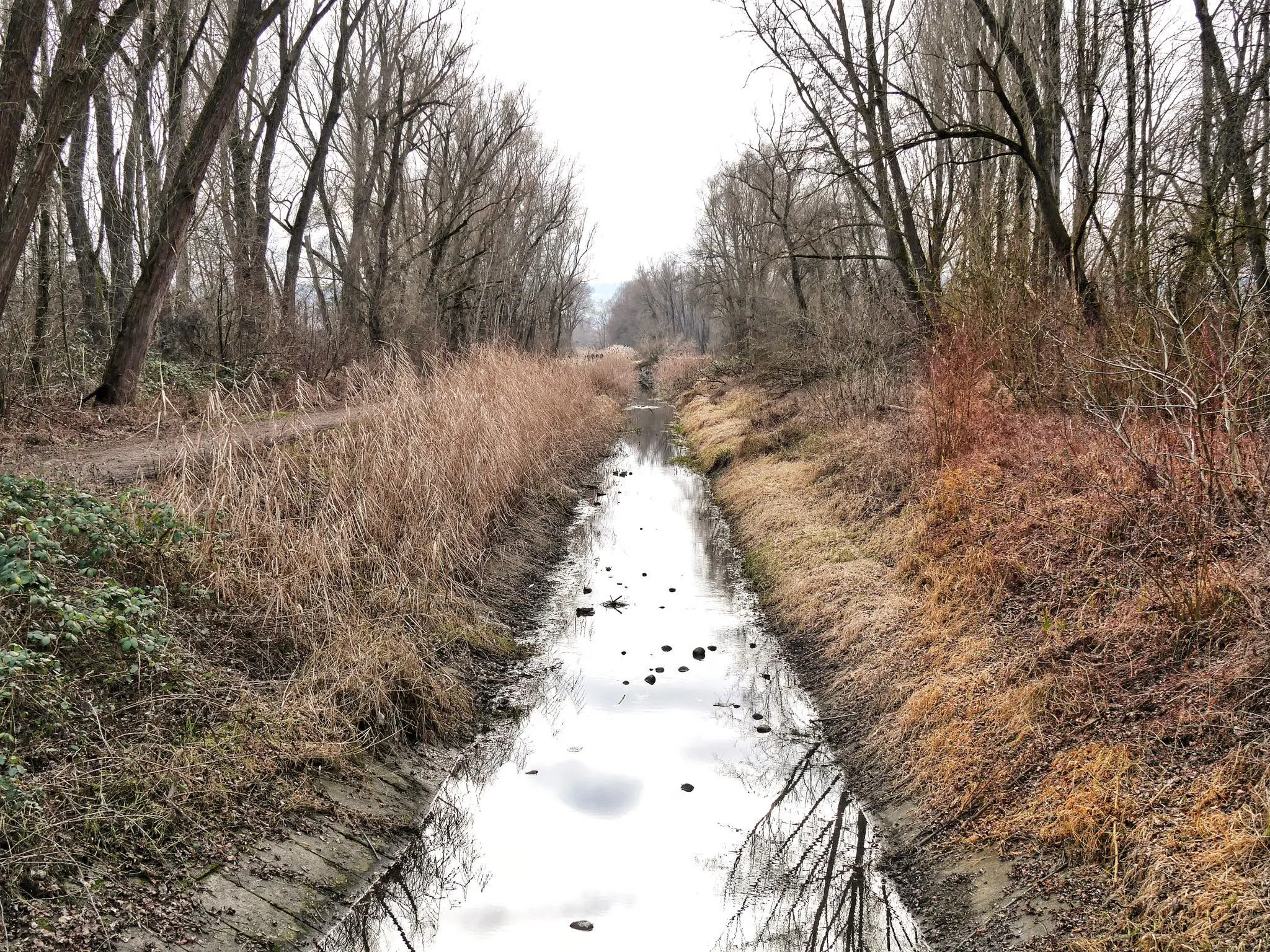 Wer auf der Suche nach Geheimtipps für den Bodensee ist, sollte das Angebot des NABU Bodenseezentrums anschauen.