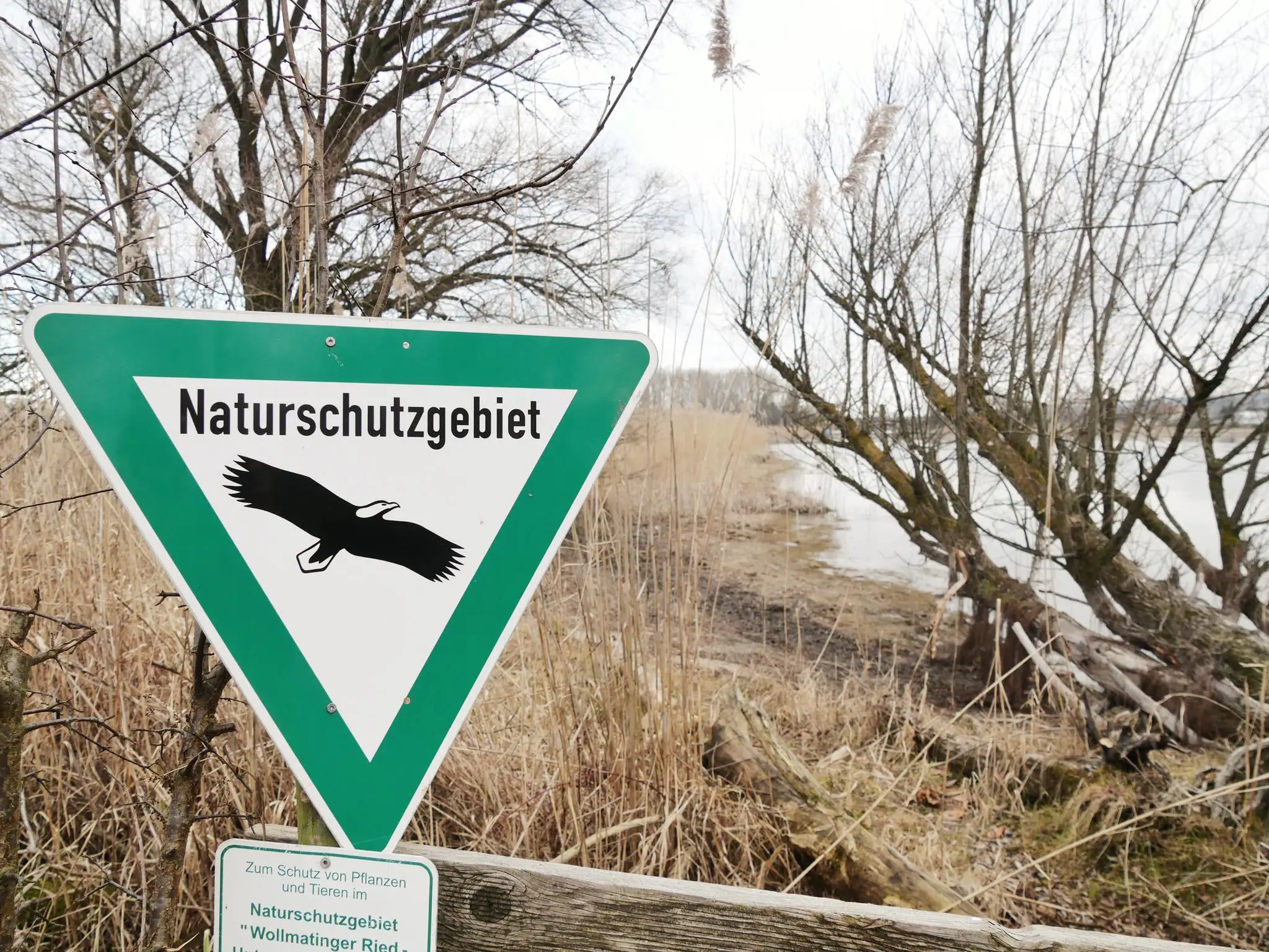 Während eines Aufenthalts am Bodensee lohnt sich ein Spaziergang durch die hiesigen Naturschutzgebiete.