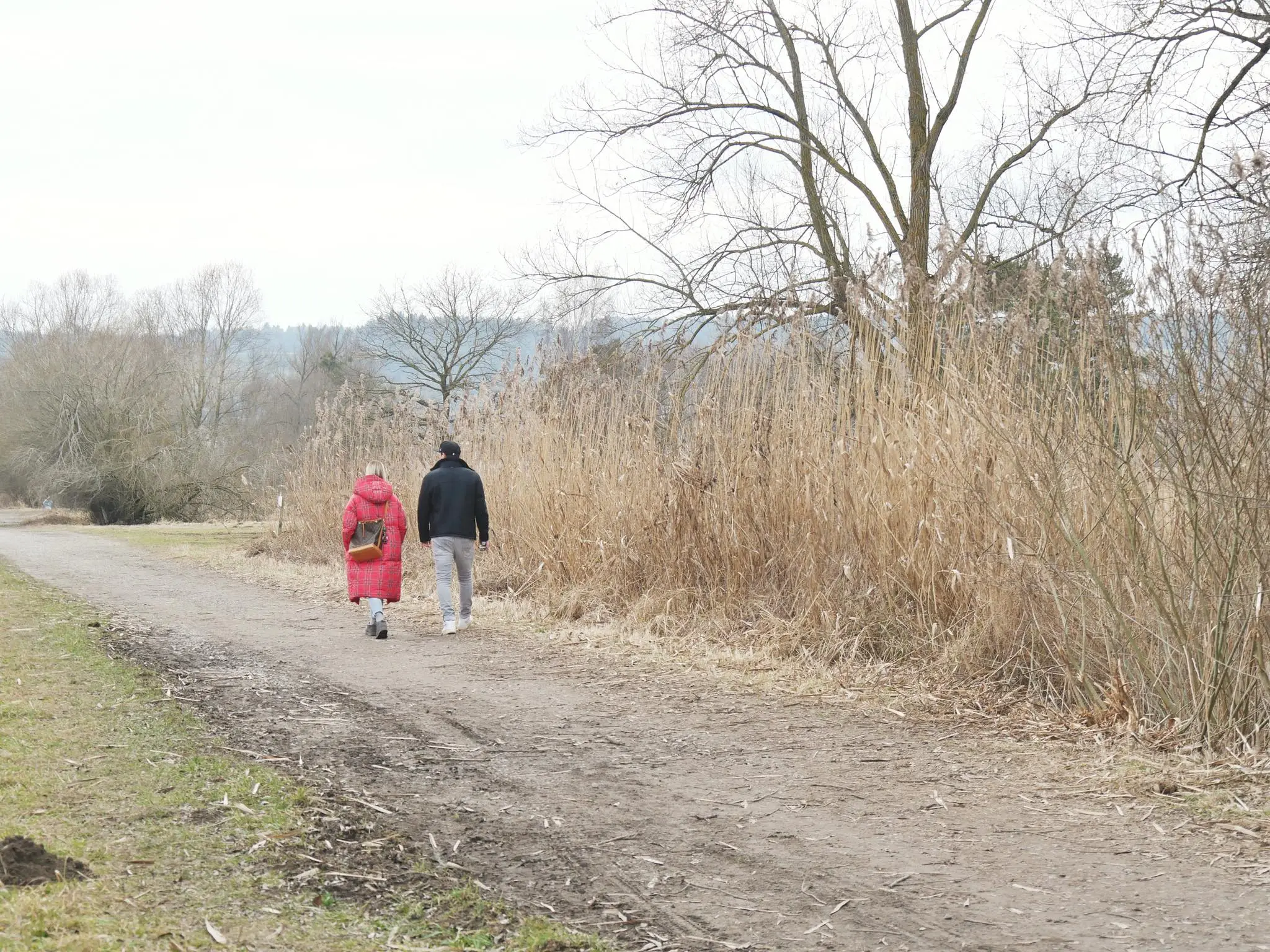 Die localsbodensee machen sich auf den Weg zu einem Geheimtipp am Bodensee - dem Wollmatinger Ried.