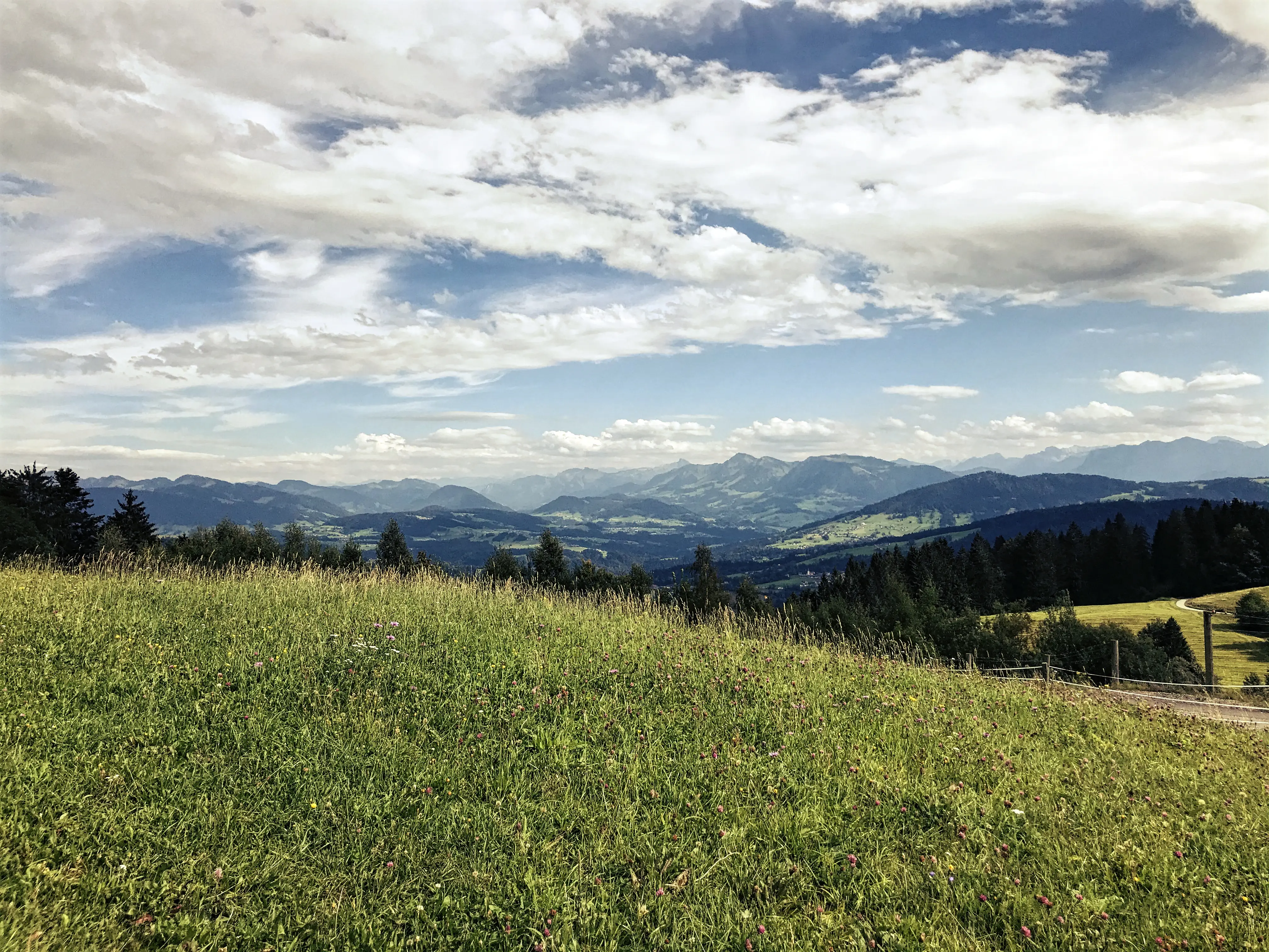 Oben auf dem Pfänder angekommen erwartet die Localsbodensee ein herrlicher Ausblick über den Bodensee.