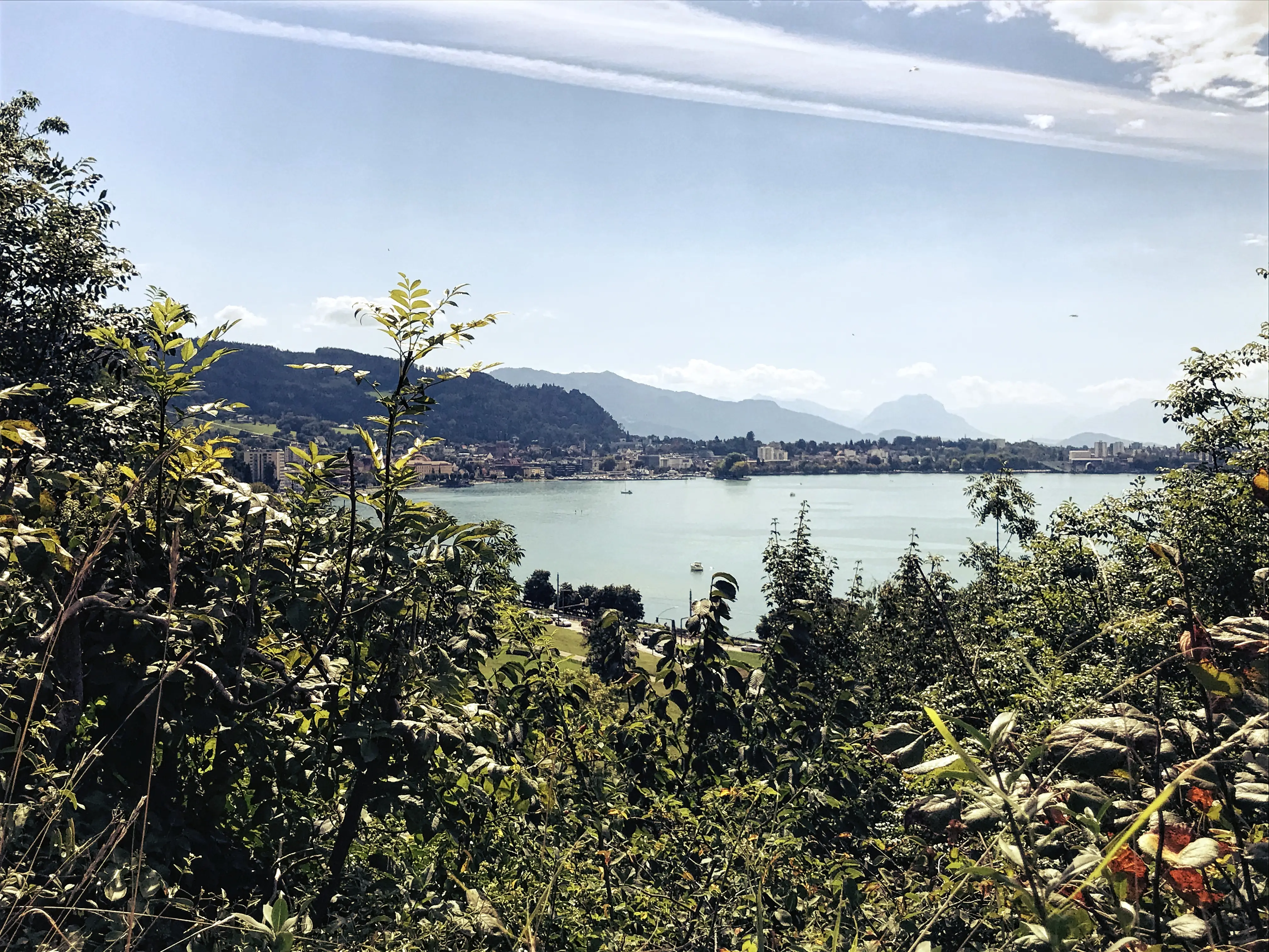Nach einigen Höhenmetern kann man schon den ersten Blick auf den Bodensee und Bregenz erhaschen.