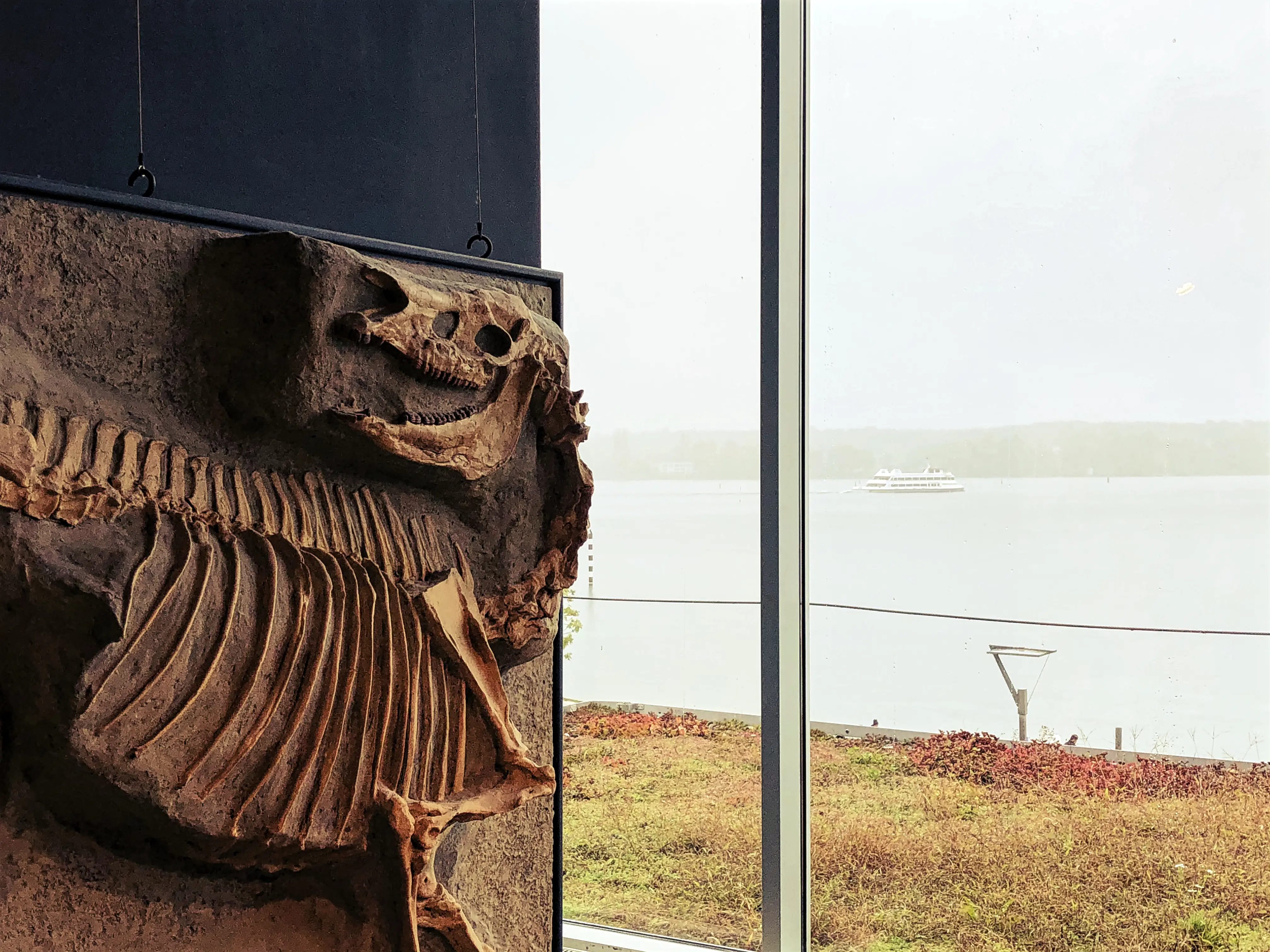 Bodensee Naturmuseum