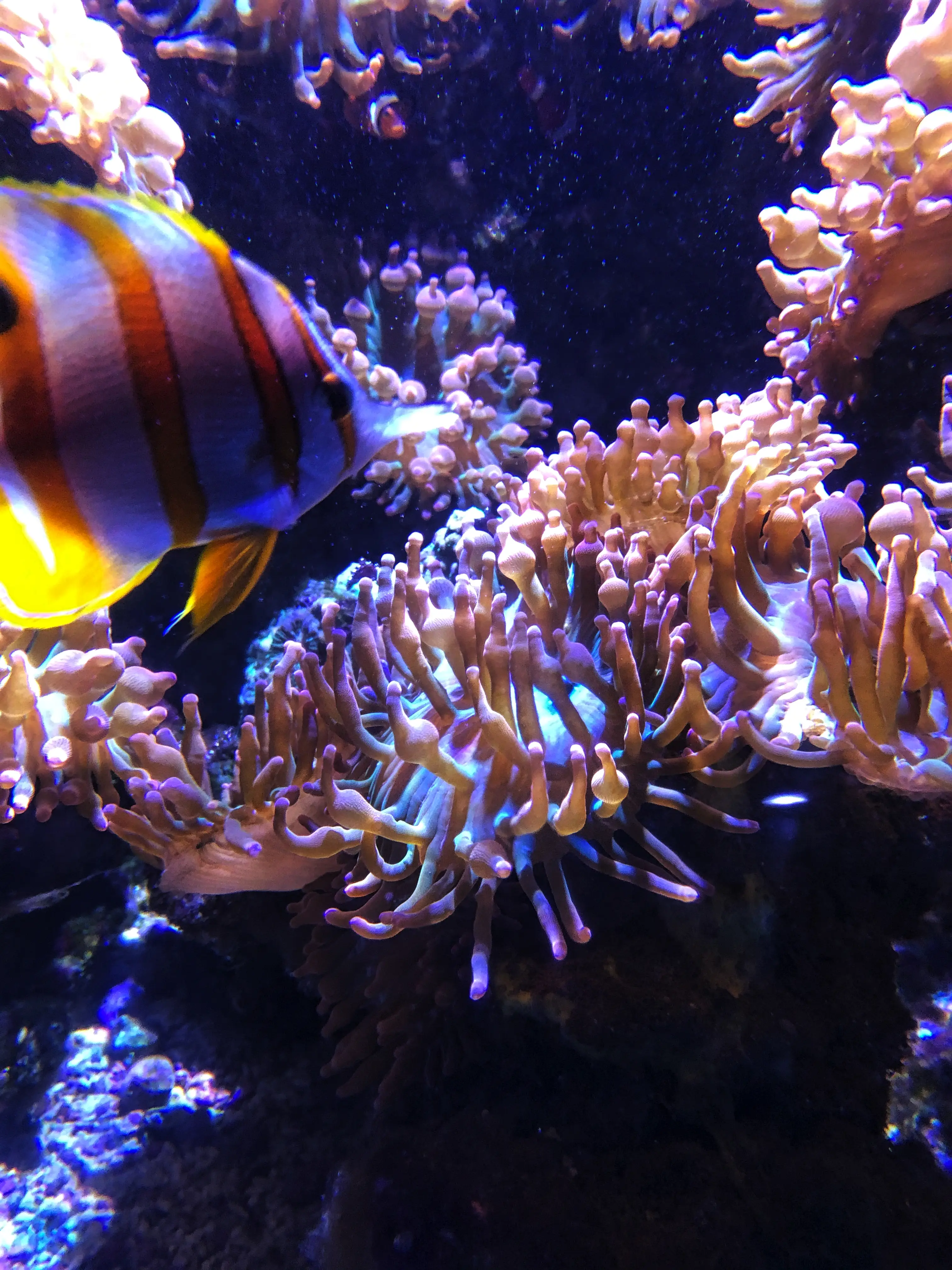 Sealife Konstanz