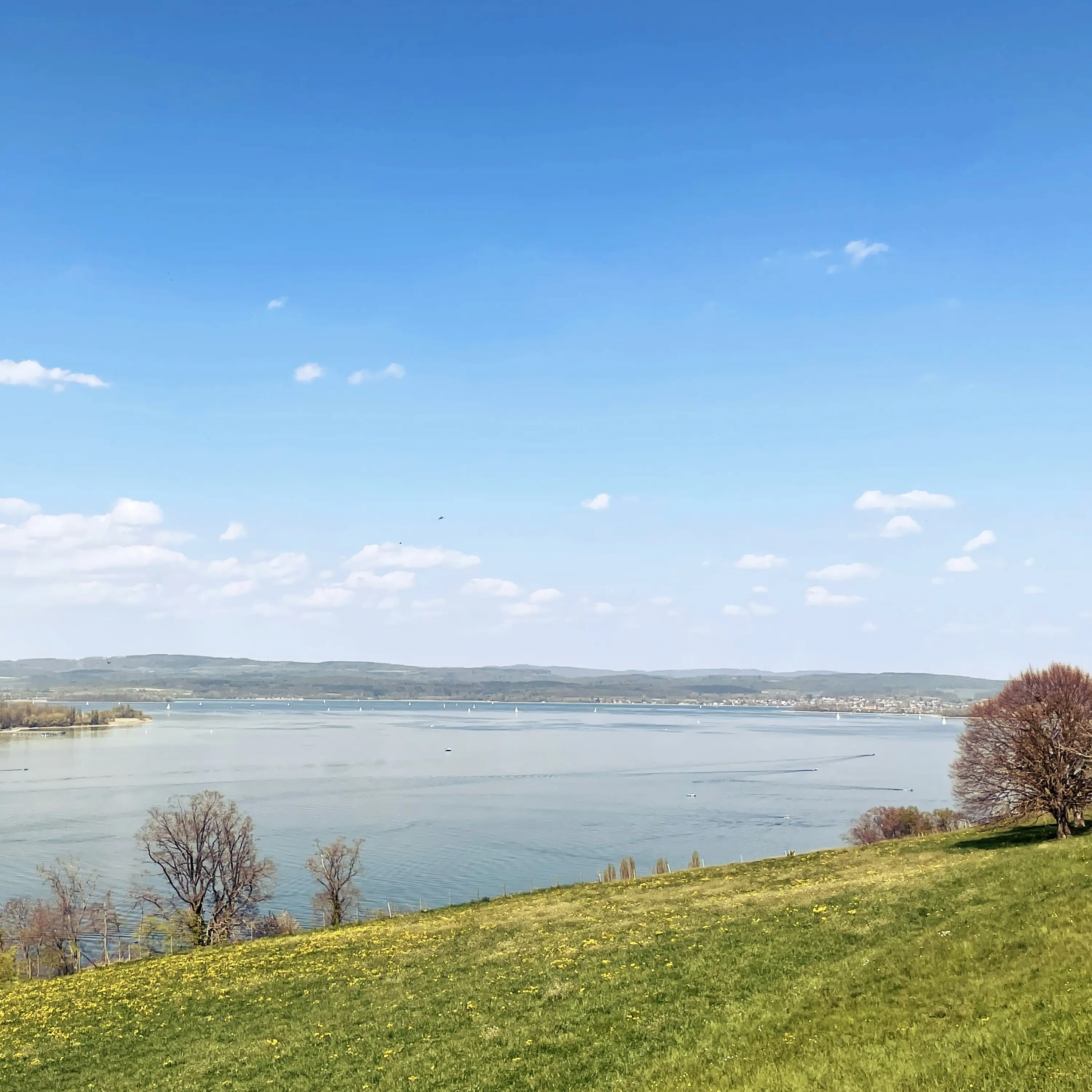 Wanderung über den Thurgauer Fabelweg