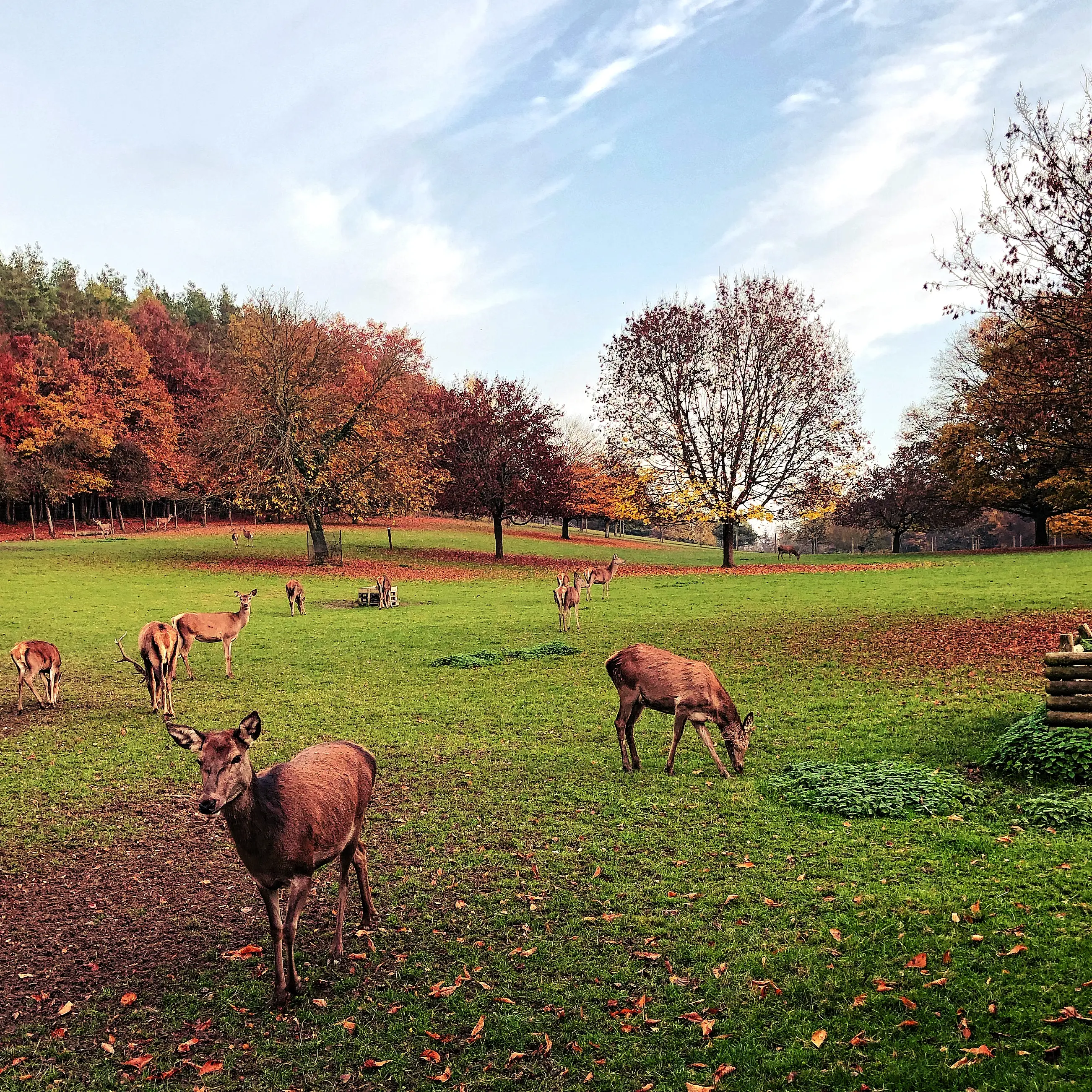 Spaziergang von Allensbach zum Wildpark Markelfingen